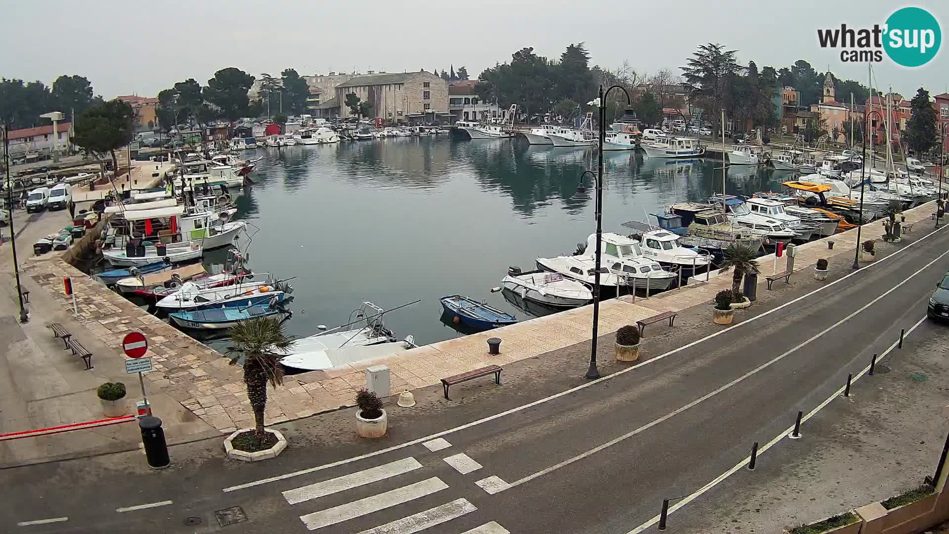 Novigrad webcam Mandrač | Cittanova in Istria – Porto vecchio