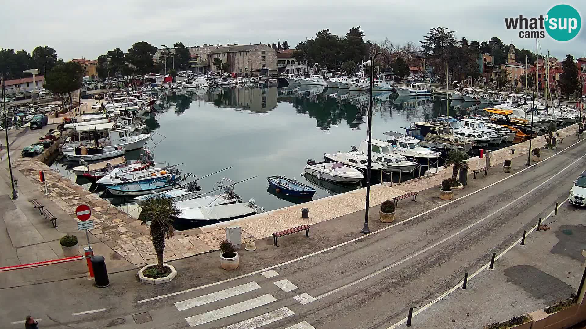 Novigrad webcam Mandrač | alten Hafen – Istrien