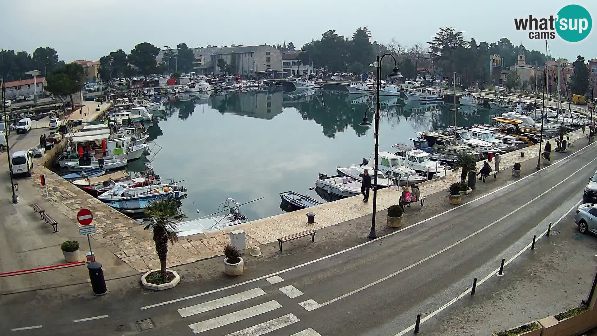 Novigrad webcam Mandrač | alten Hafen – Istrien