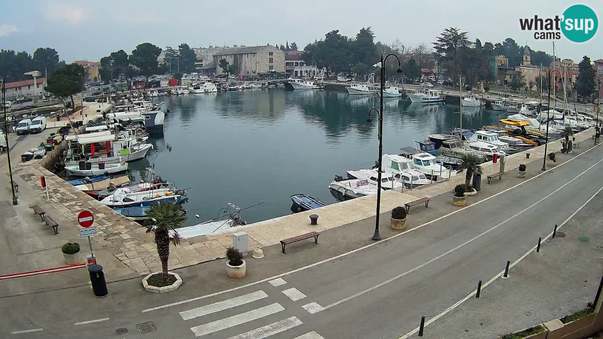 Novigrad kamera Mandrač – Istra