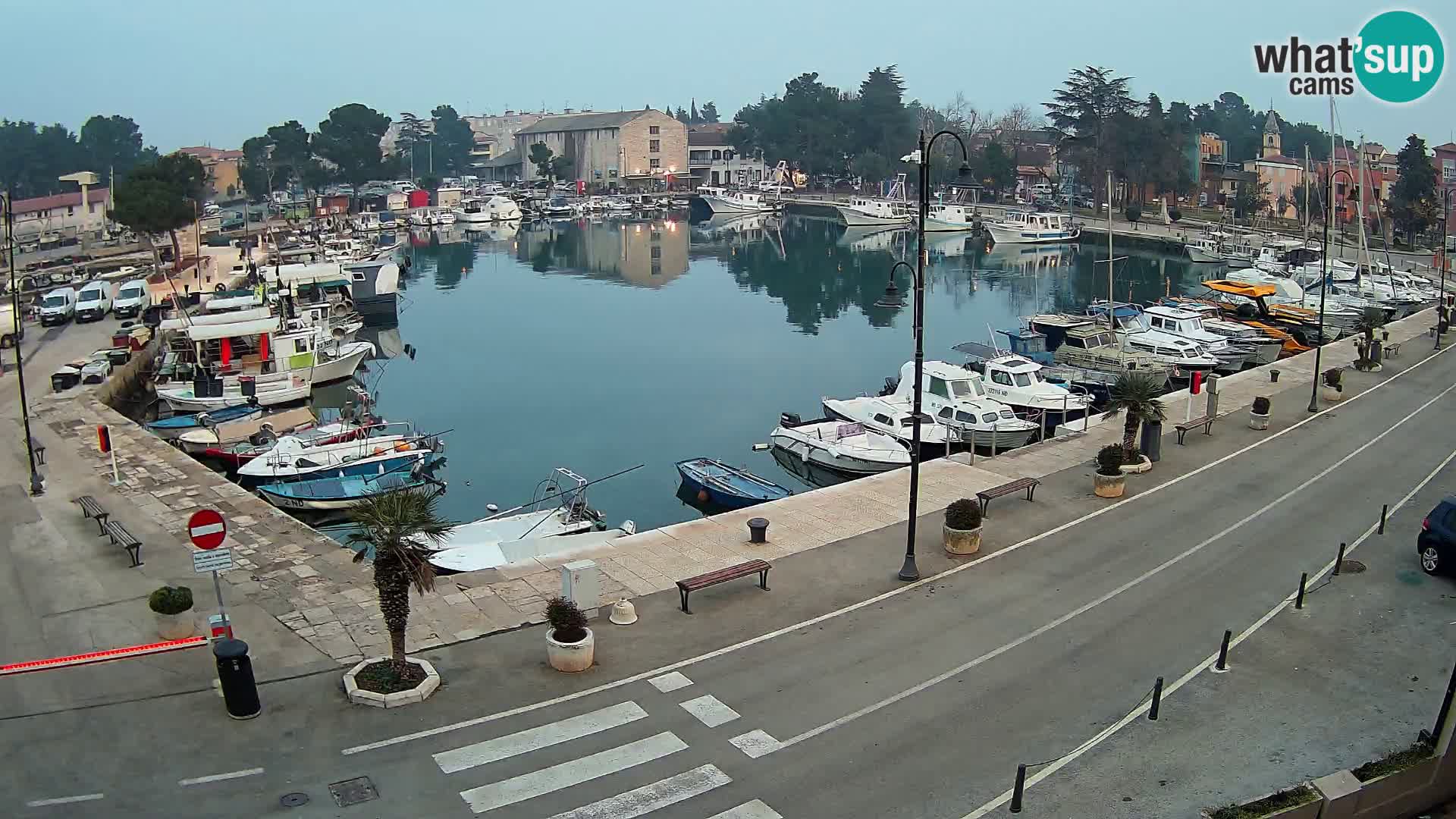 Novigrad webcam Mandrač | Cittanova in Istria – Porto vecchio