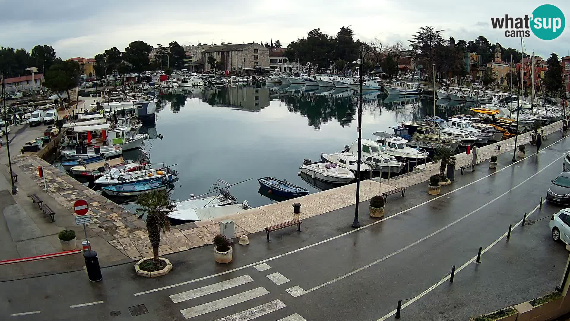 Novigrad webcam Mandrač | alten Hafen – Istrien