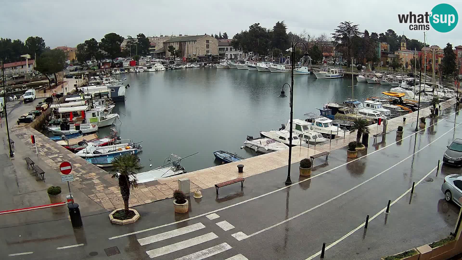 Novigrad webcam Mandrač | Cittanova in Istria – Porto vecchio