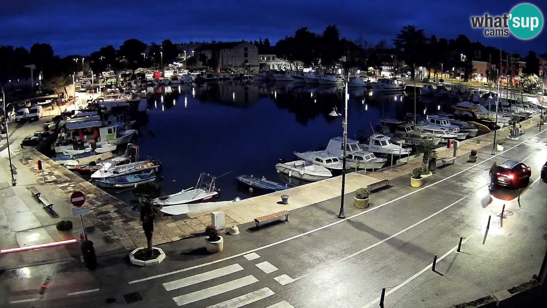 Novigrad webcam Mandrač | alten Hafen – Istrien