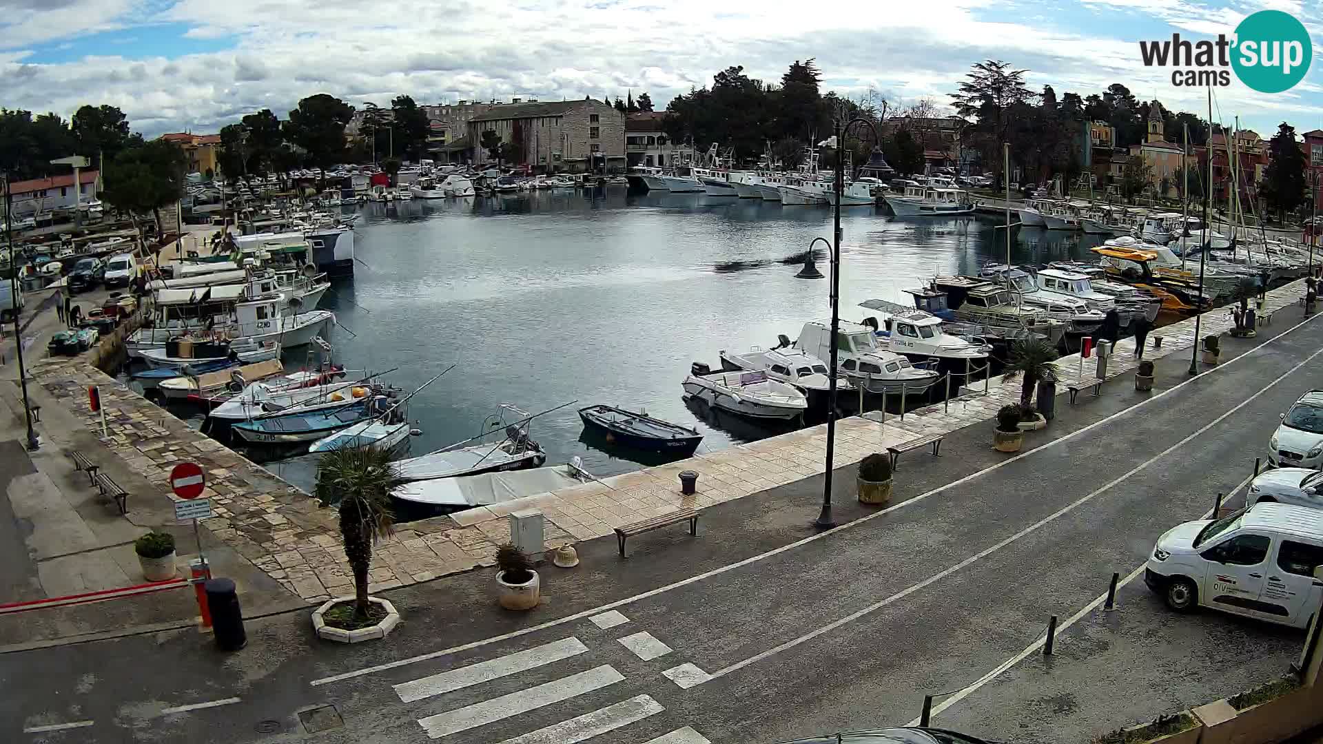 Novigrad webcam Mandrač | old marina – Istria