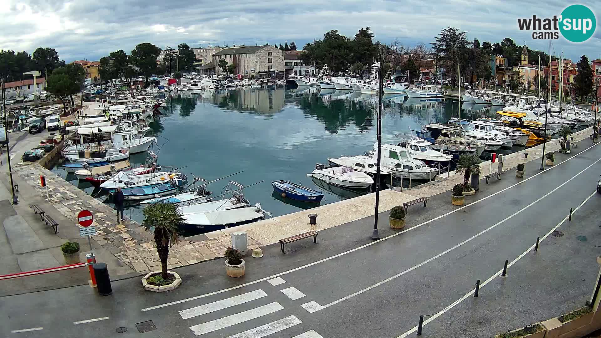 Novigrad webcam Mandrač | Cittanova in Istria – Porto vecchio