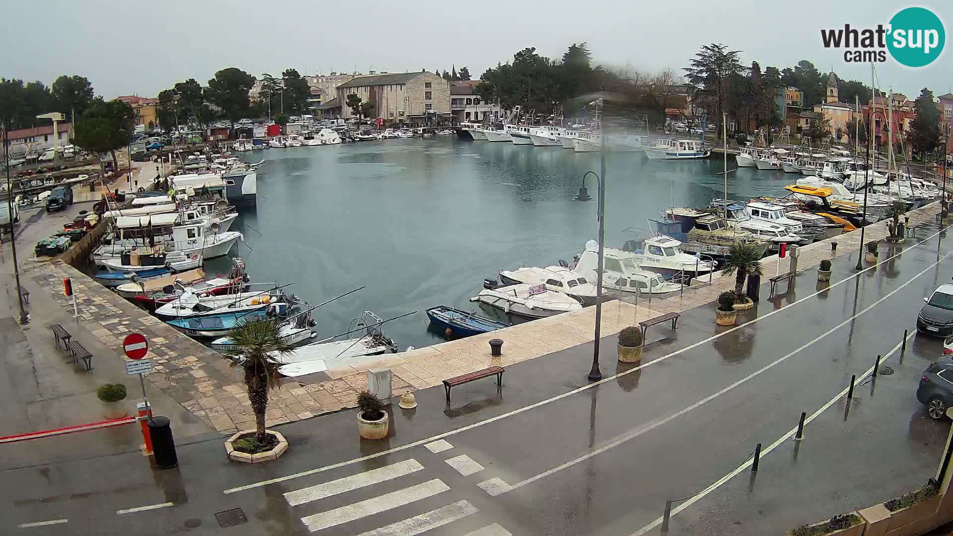 Novigrad – vieux port “Mandrač”