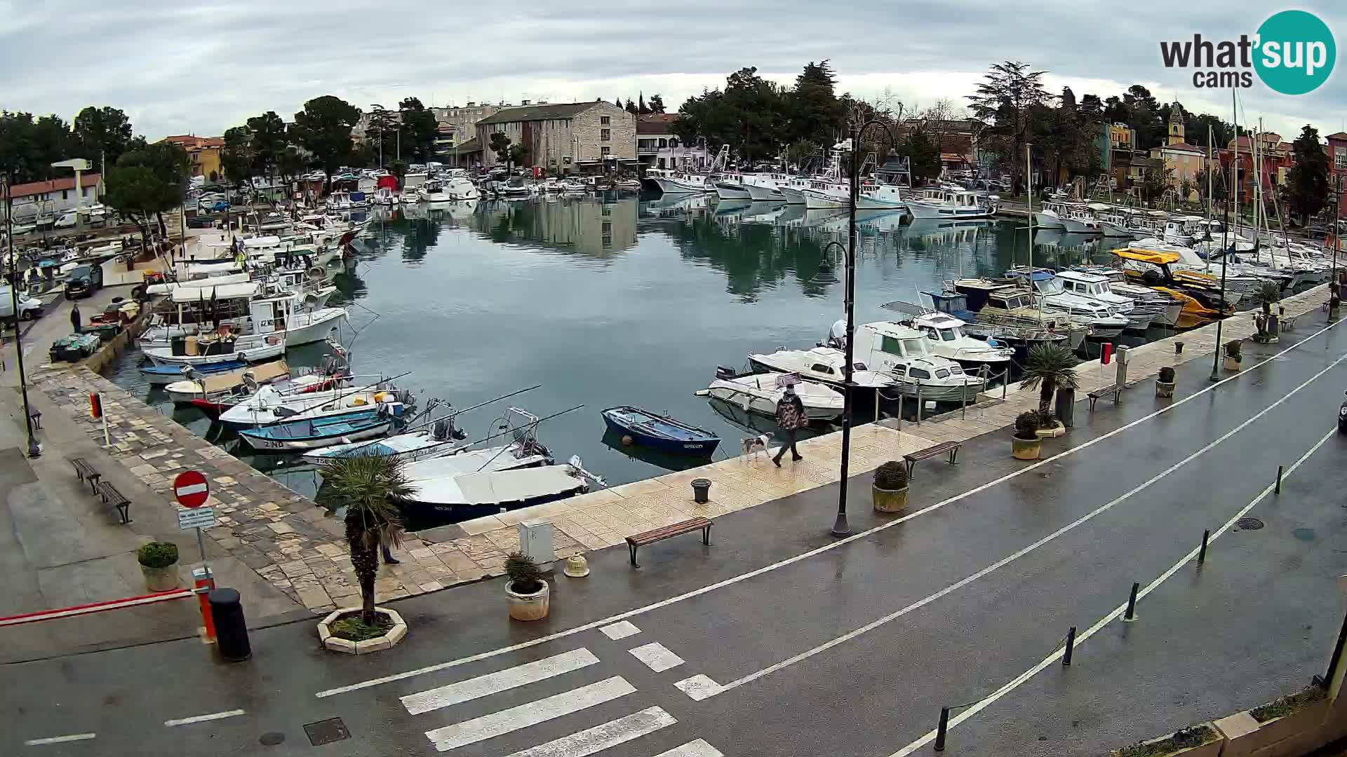 Novigrad kamera Mandrač – Istra