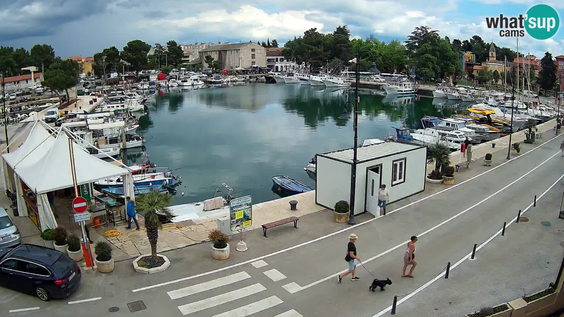 Novigrad kamera Mandrač – Istra