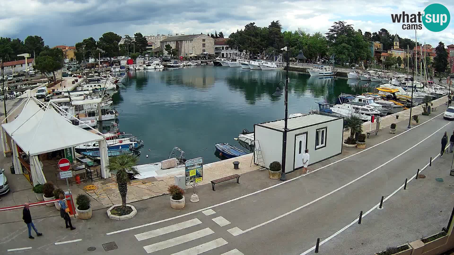 Novigrad kamera Mandrač – Istra