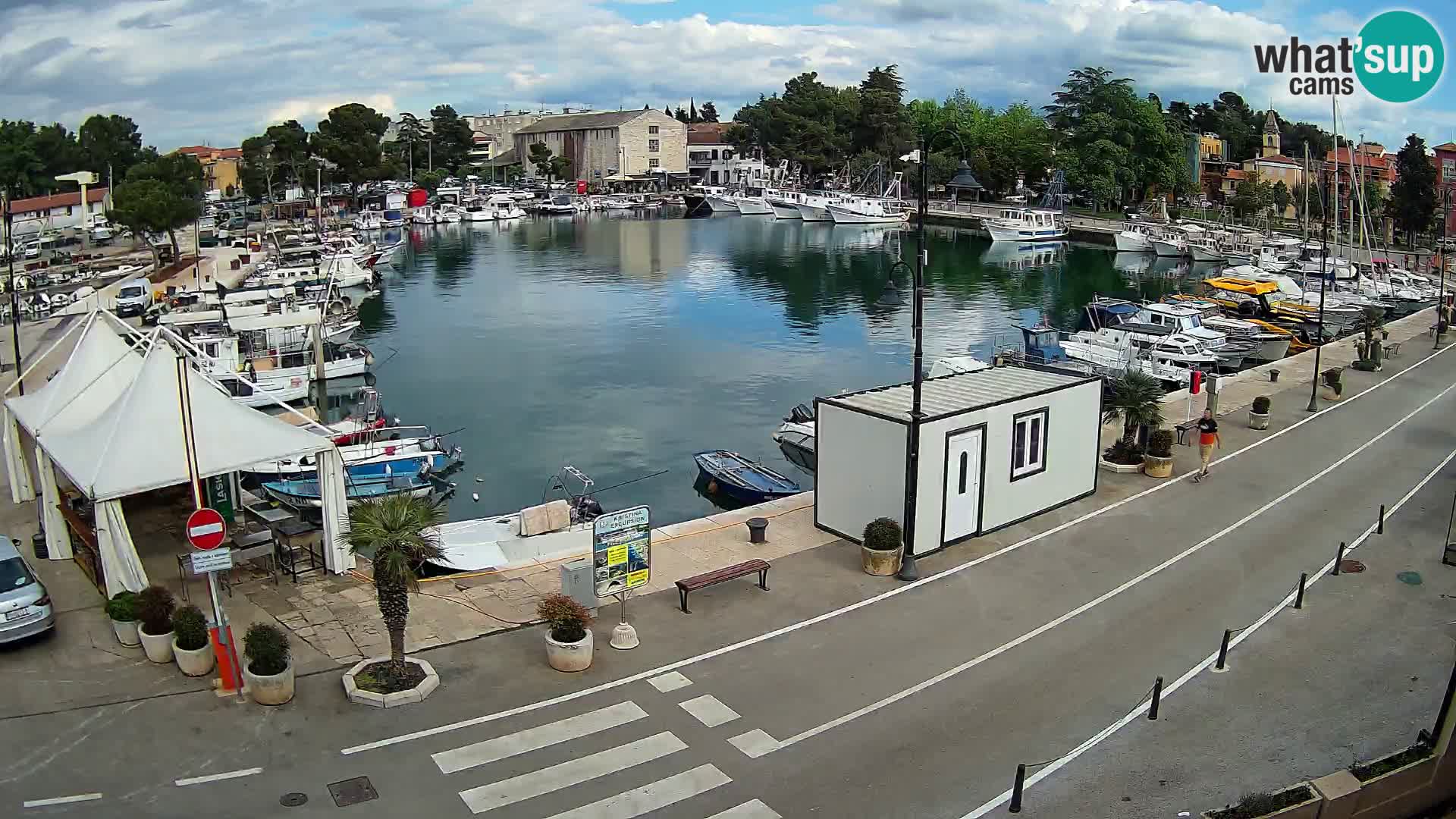 Novigrad kamera Mandrač – Istra