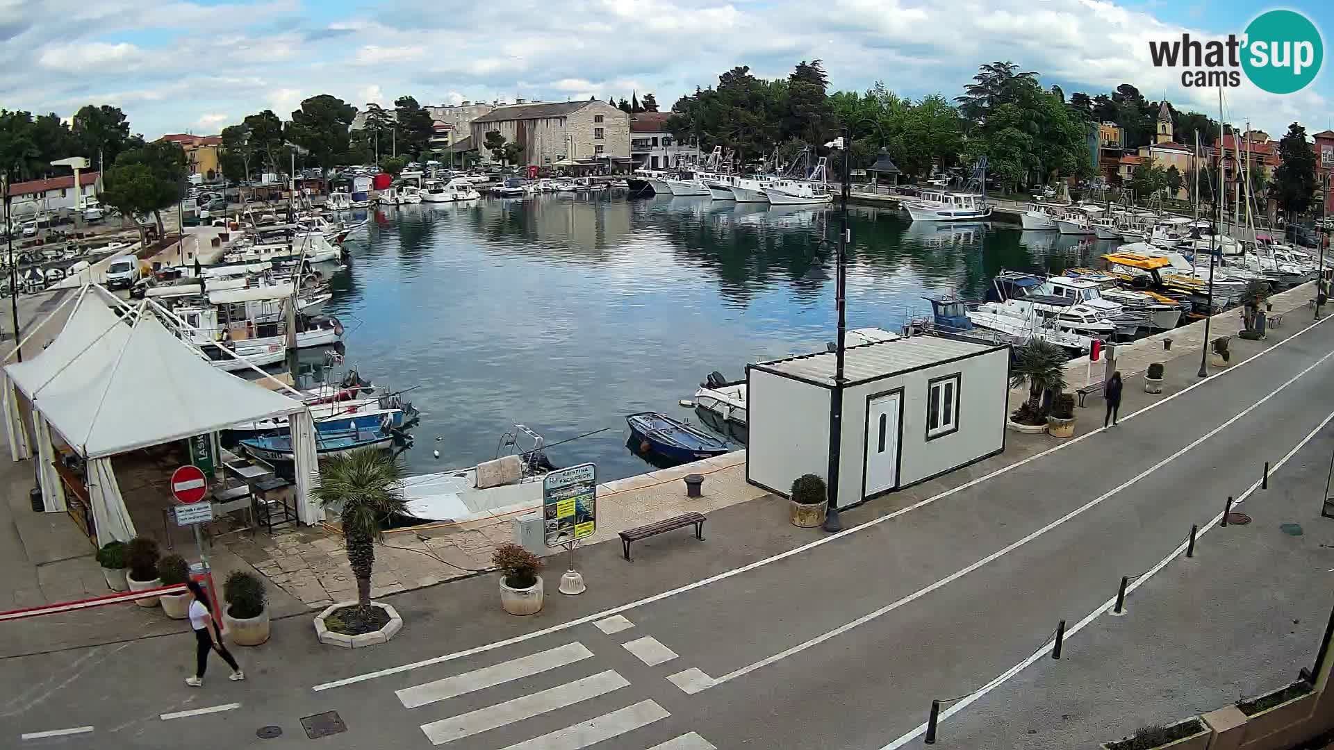 Novigrad webcam Mandrač | alten Hafen – Istrien