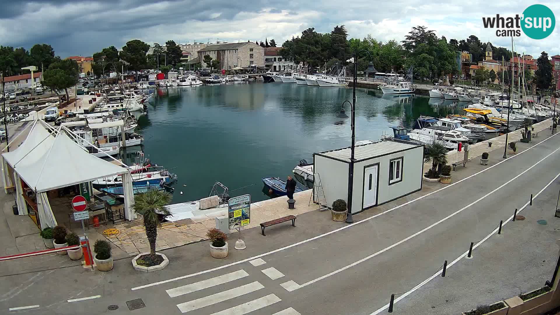 Novigrad –  Mandrač