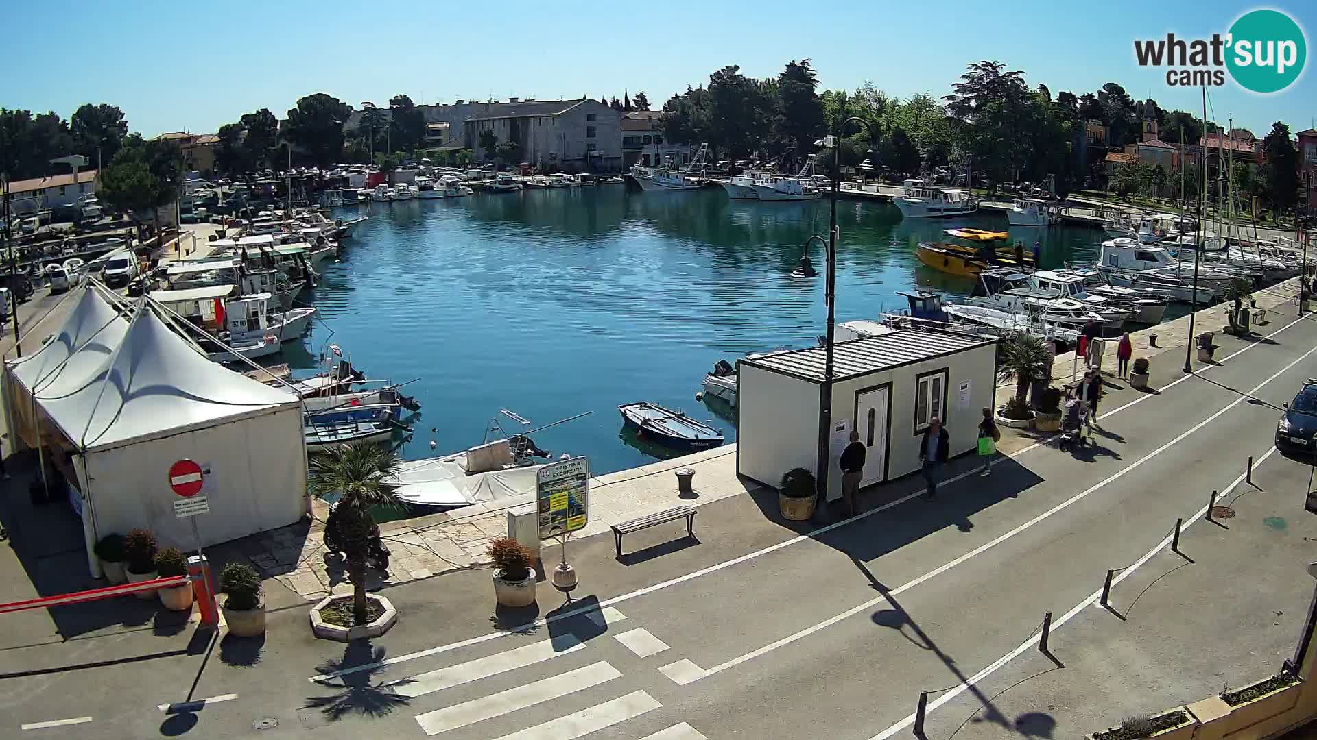 Novigrad webcam Mandrač | Cittanova in Istria – Porto vecchio