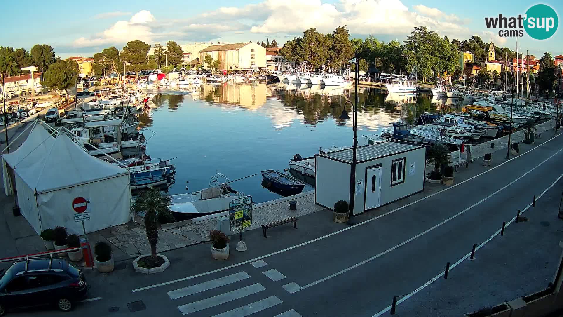 Novigrad webcam Mandrač | alten Hafen – Istrien