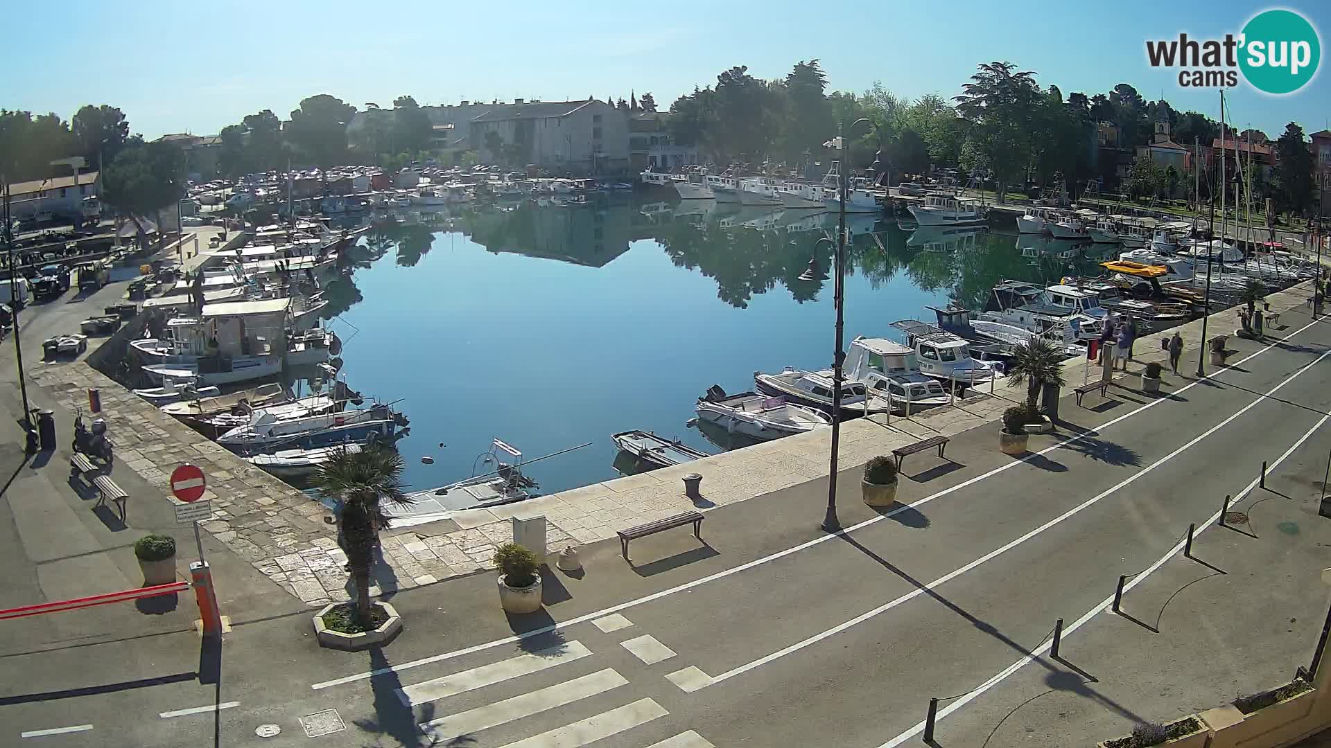 Novigrad kamera Mandrač – Istra
