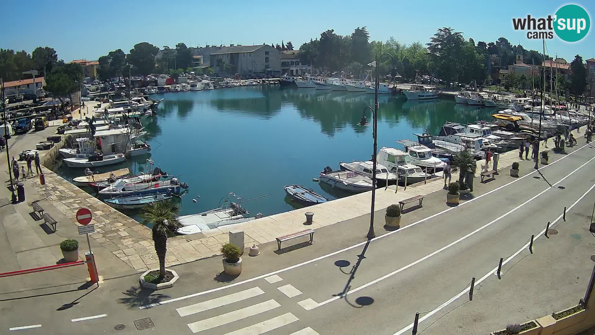 Novigrad webcam Mandrač | old marina – Istria