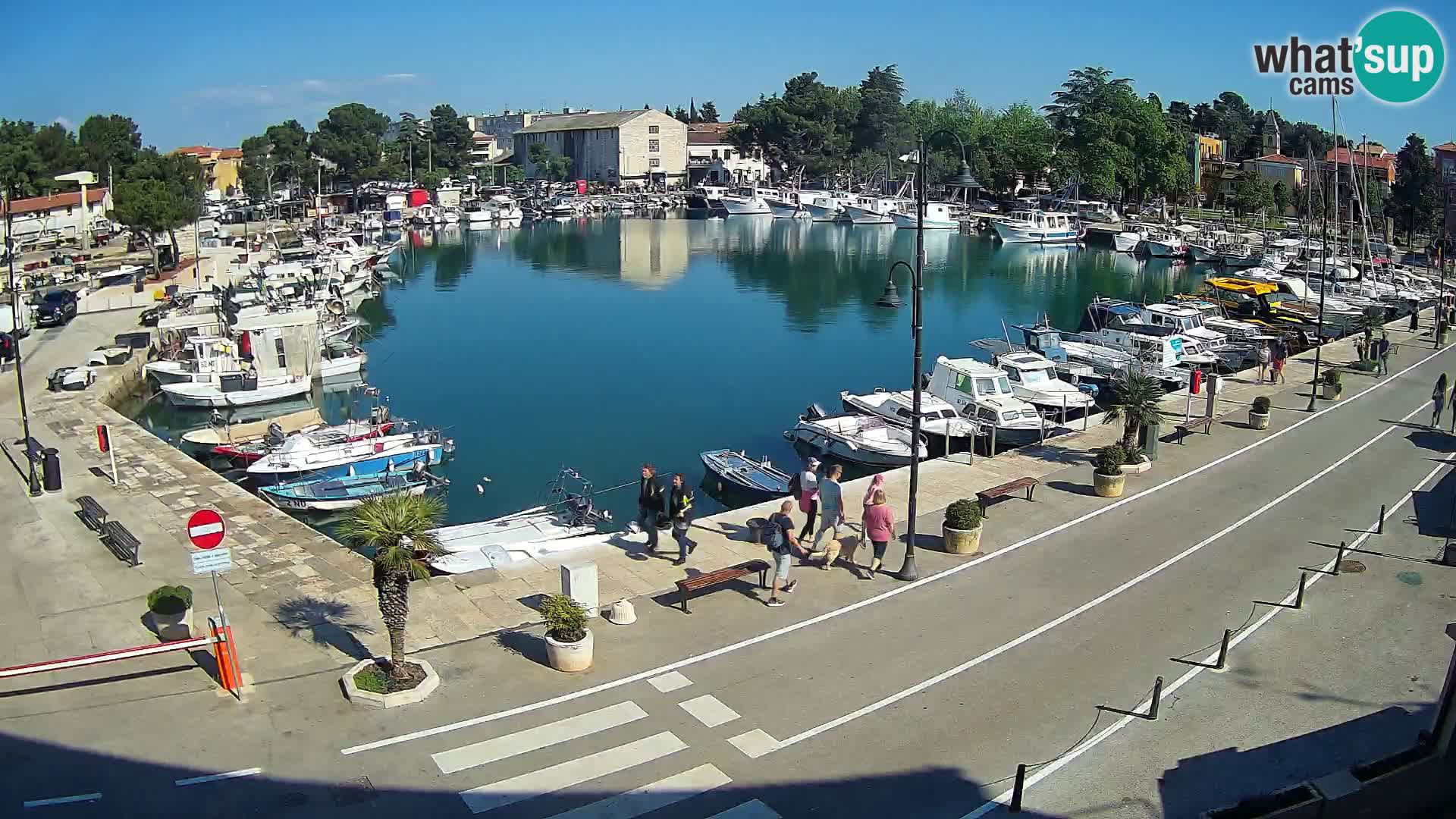 Novigrad webcam Mandrač | alten Hafen – Istrien