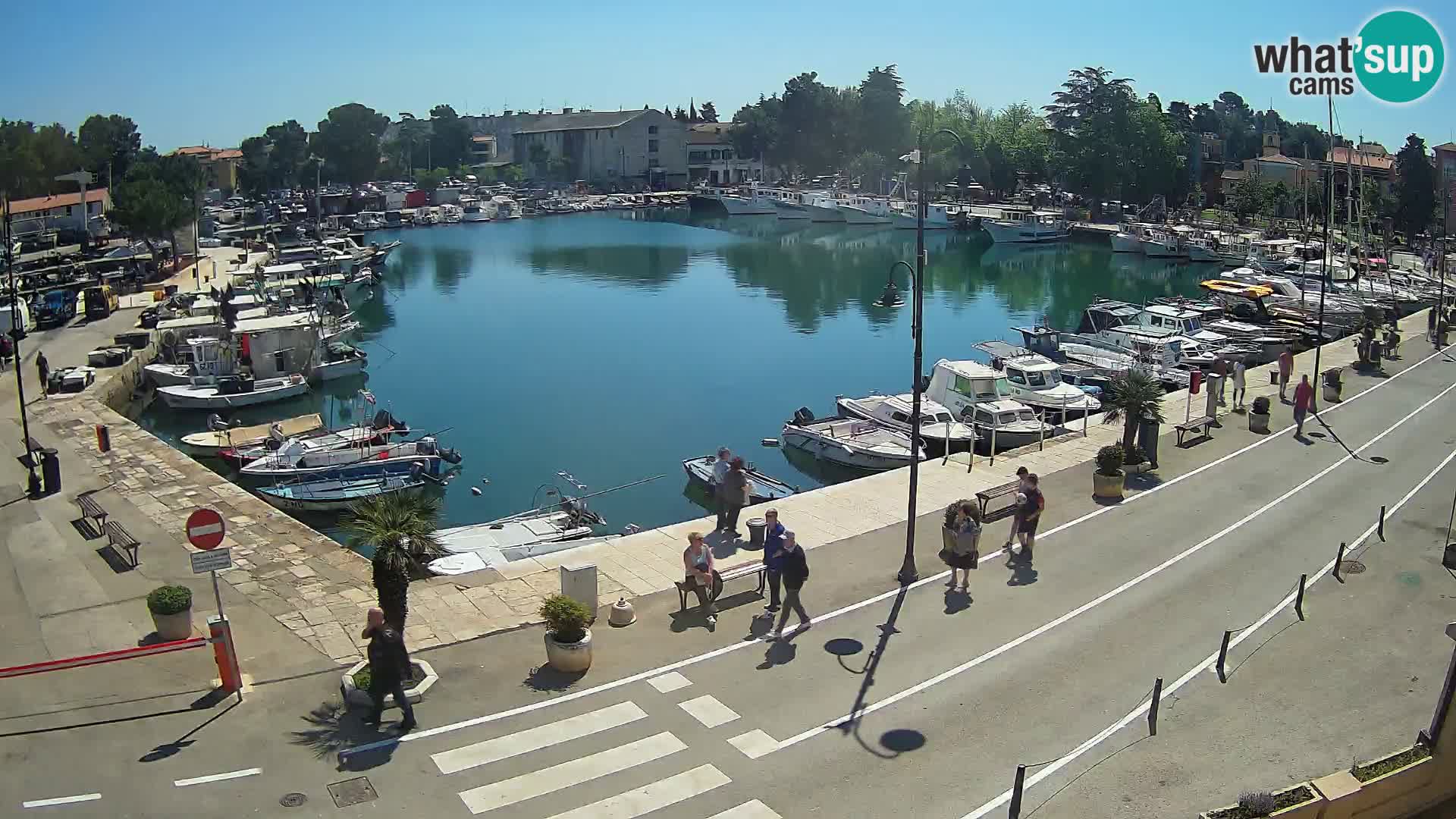 Novigrad kamera Mandrač – Istra