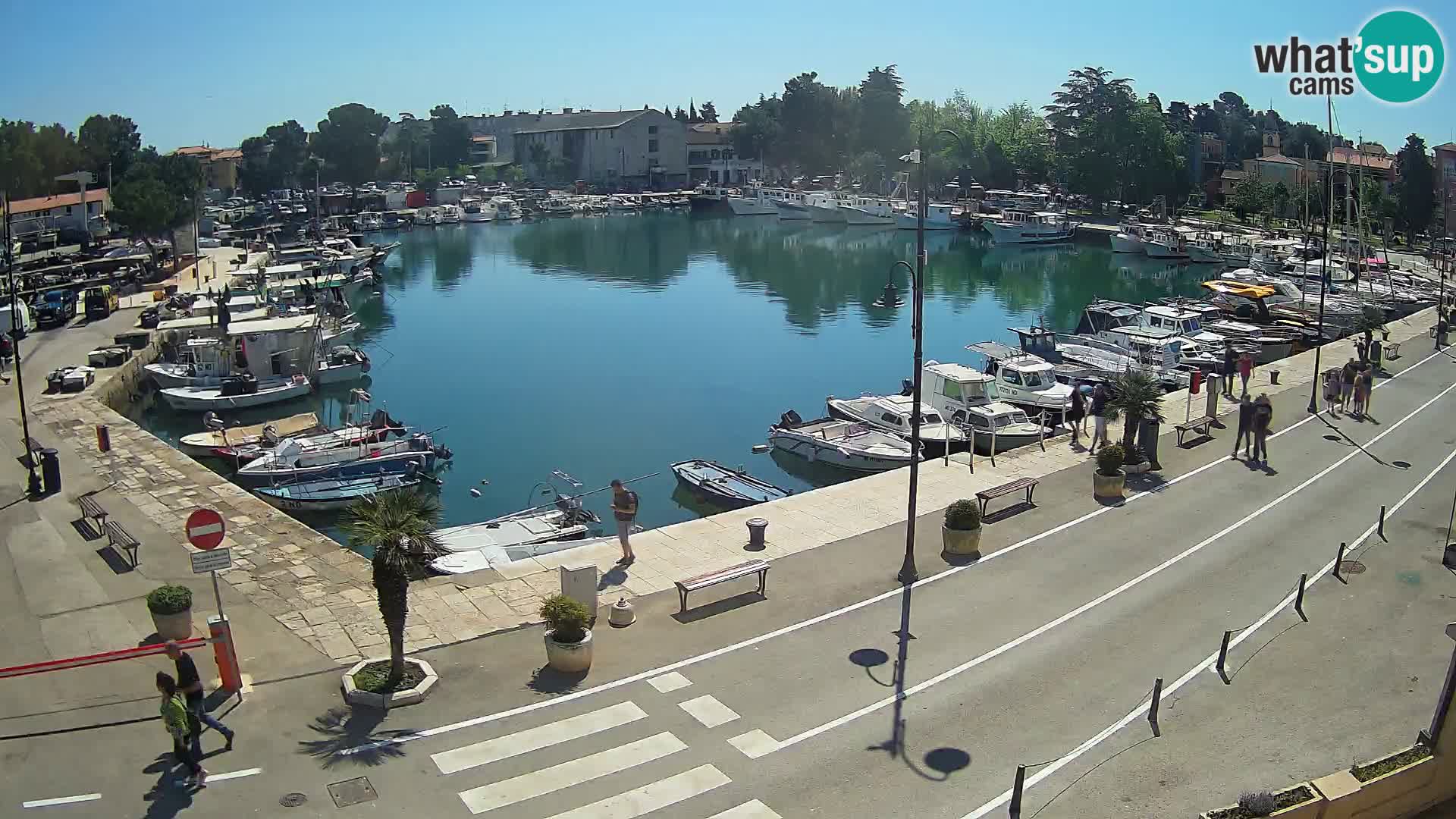 Novigrad kamera Mandrač – Istra