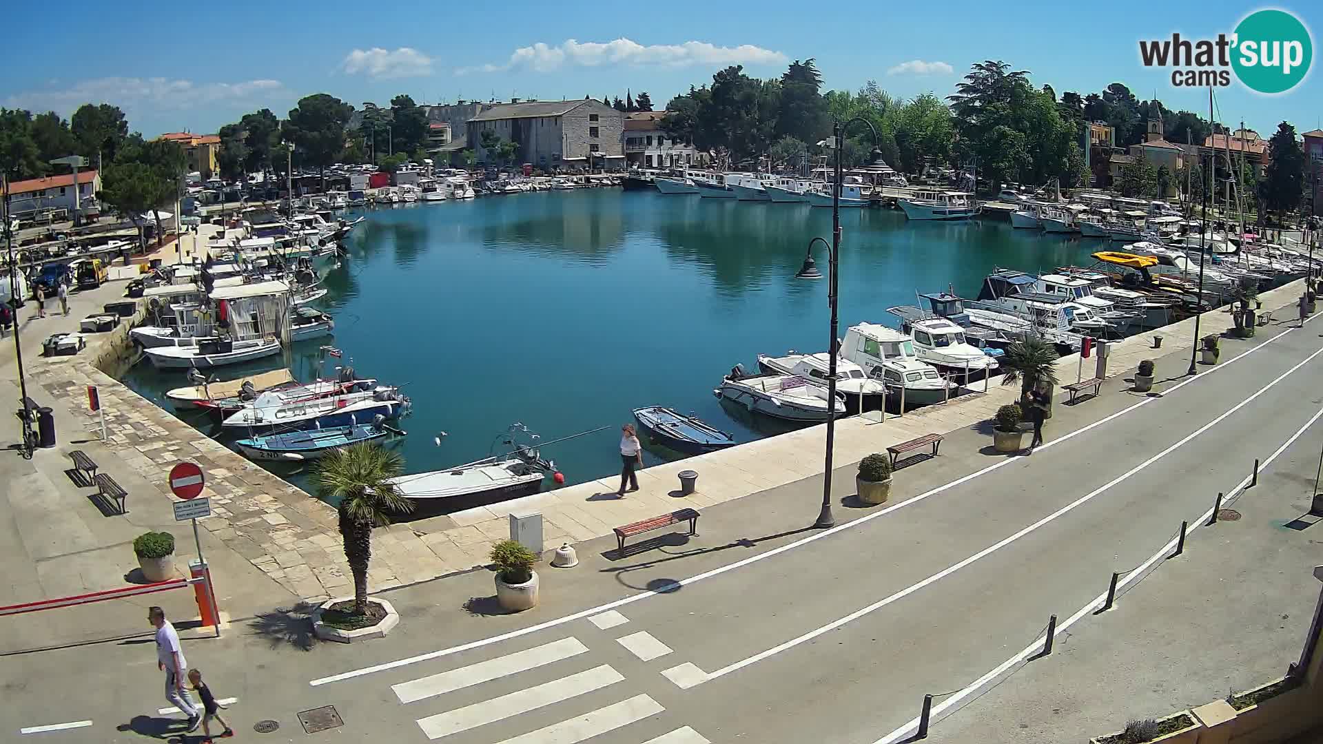Novigrad kamera Mandrač – Istra