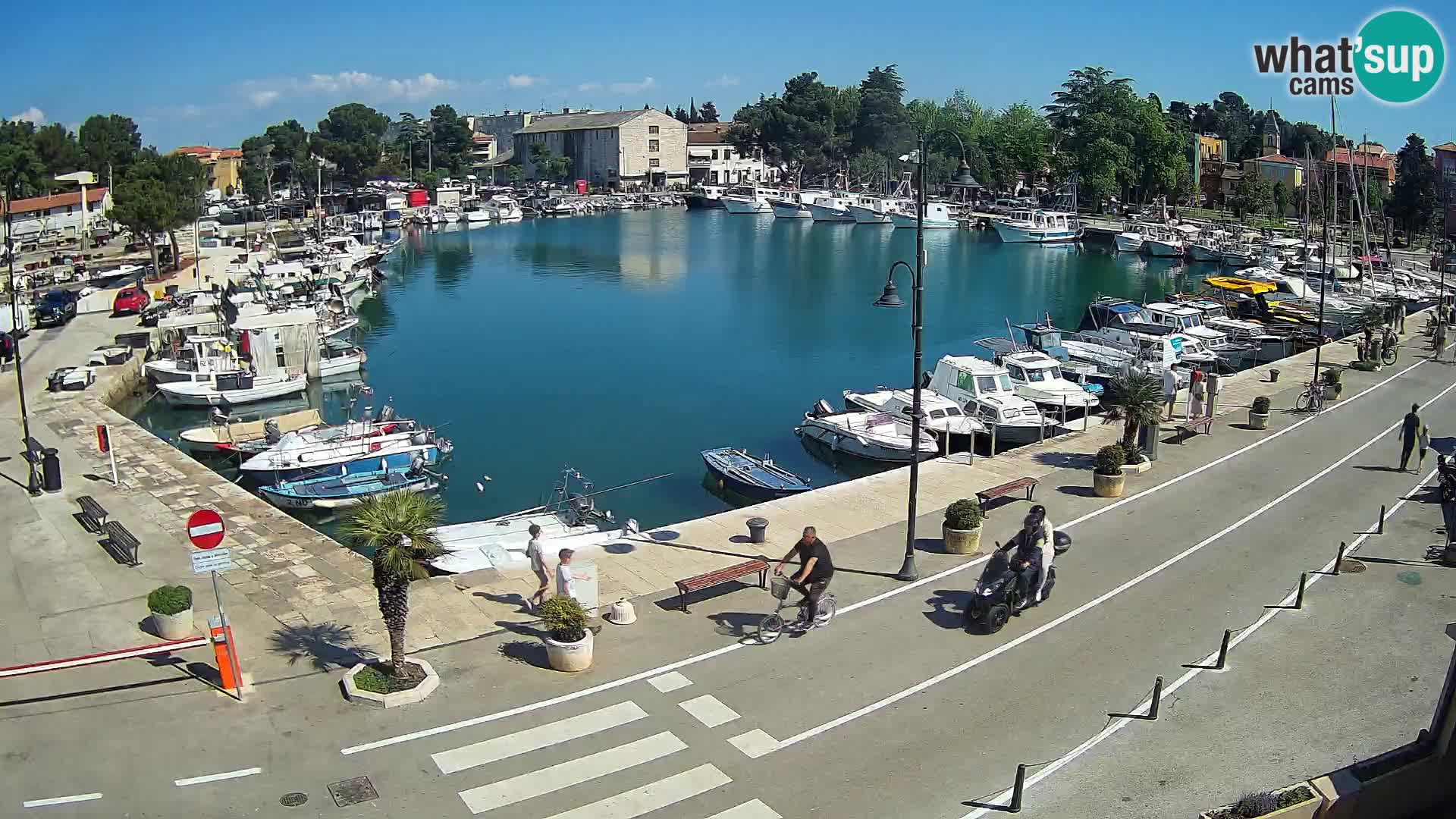 Novigrad kamera Mandrač – Istra
