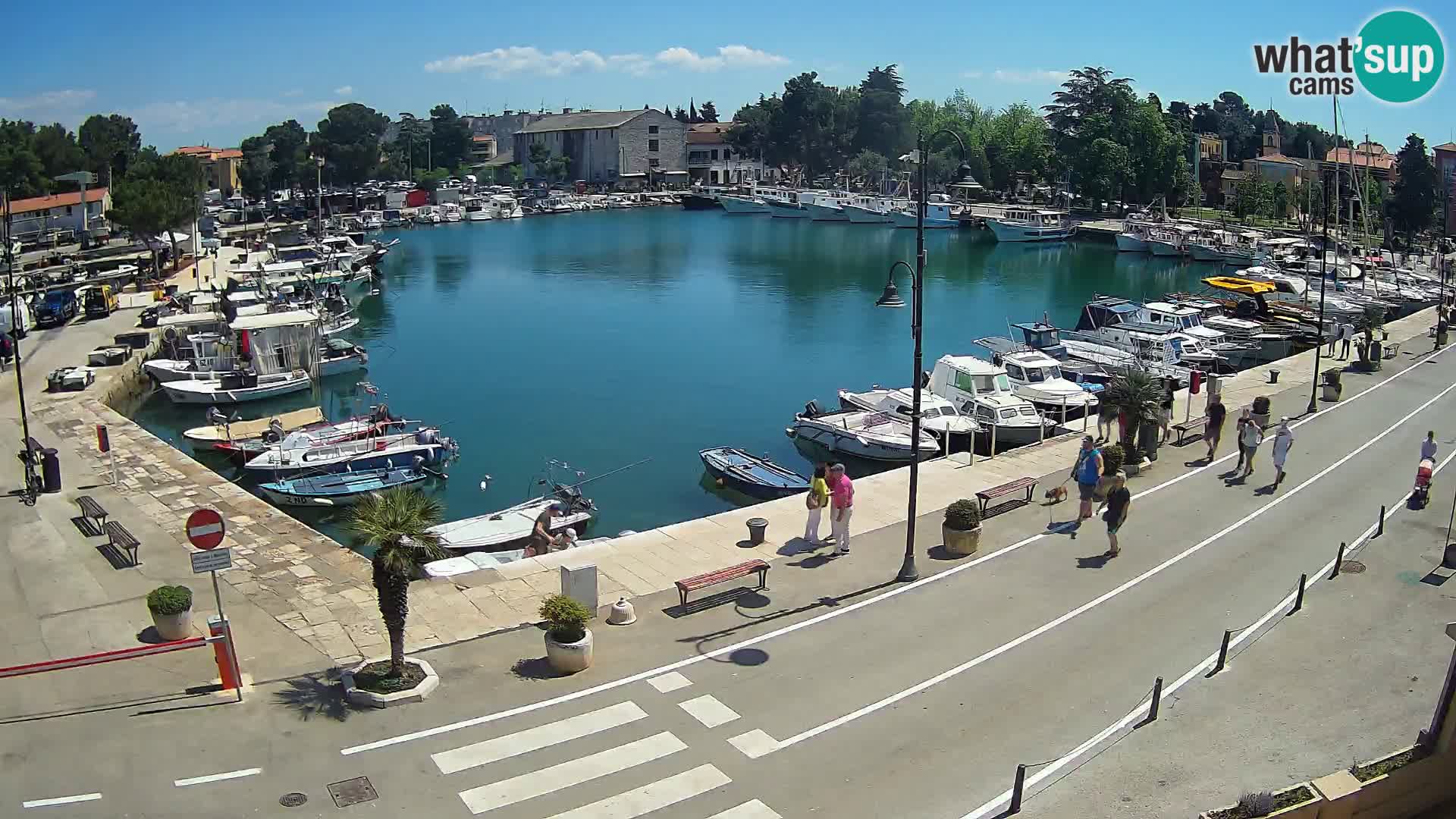 Novigrad kamera Mandrač – Istra