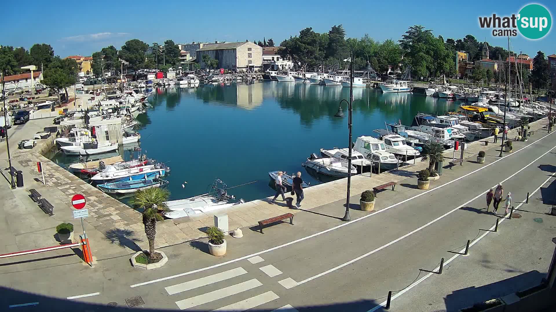 Novigrad webcam Mandrač | alten Hafen – Istrien