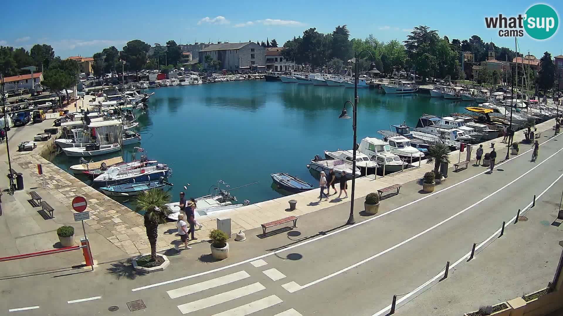 Novigrad webcam Mandrač | Cittanova in Istria – Porto vecchio