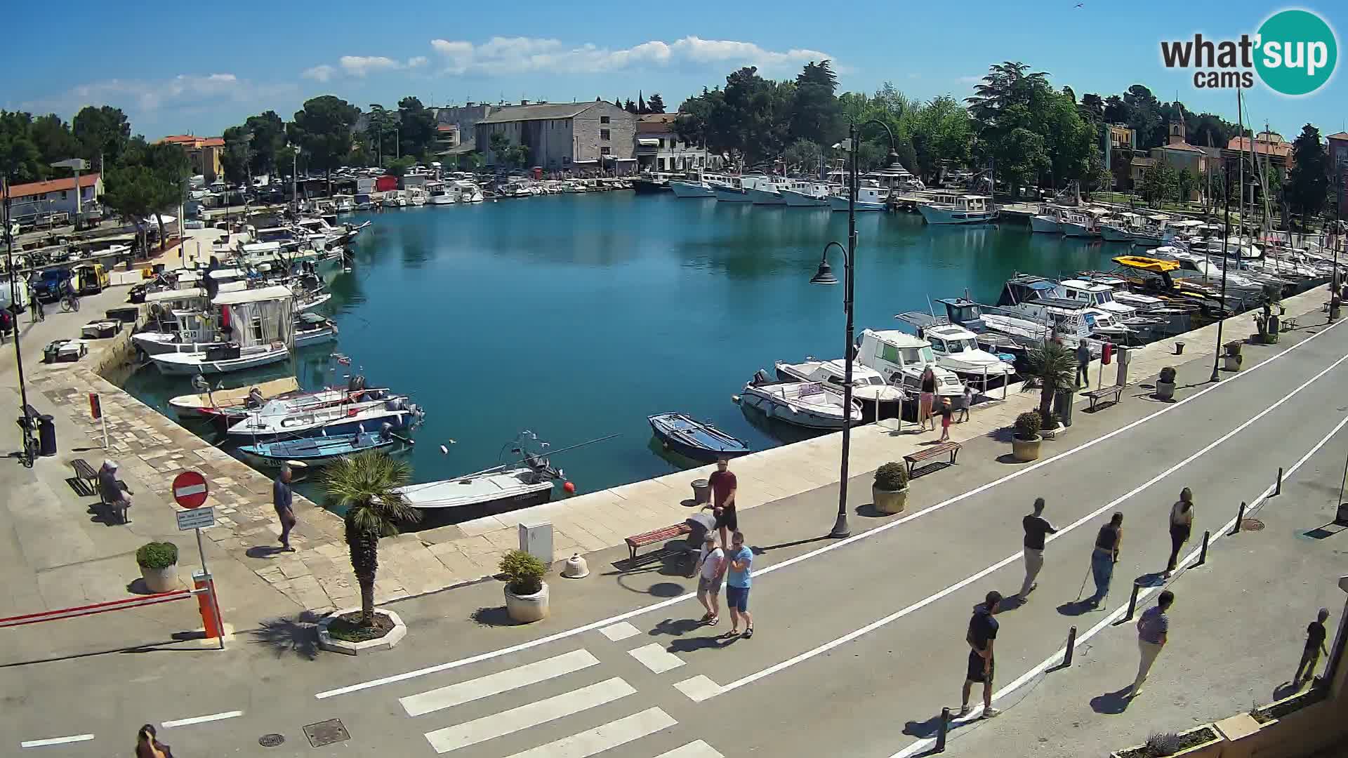 Novigrad webcam Mandrač | old marina – Istria