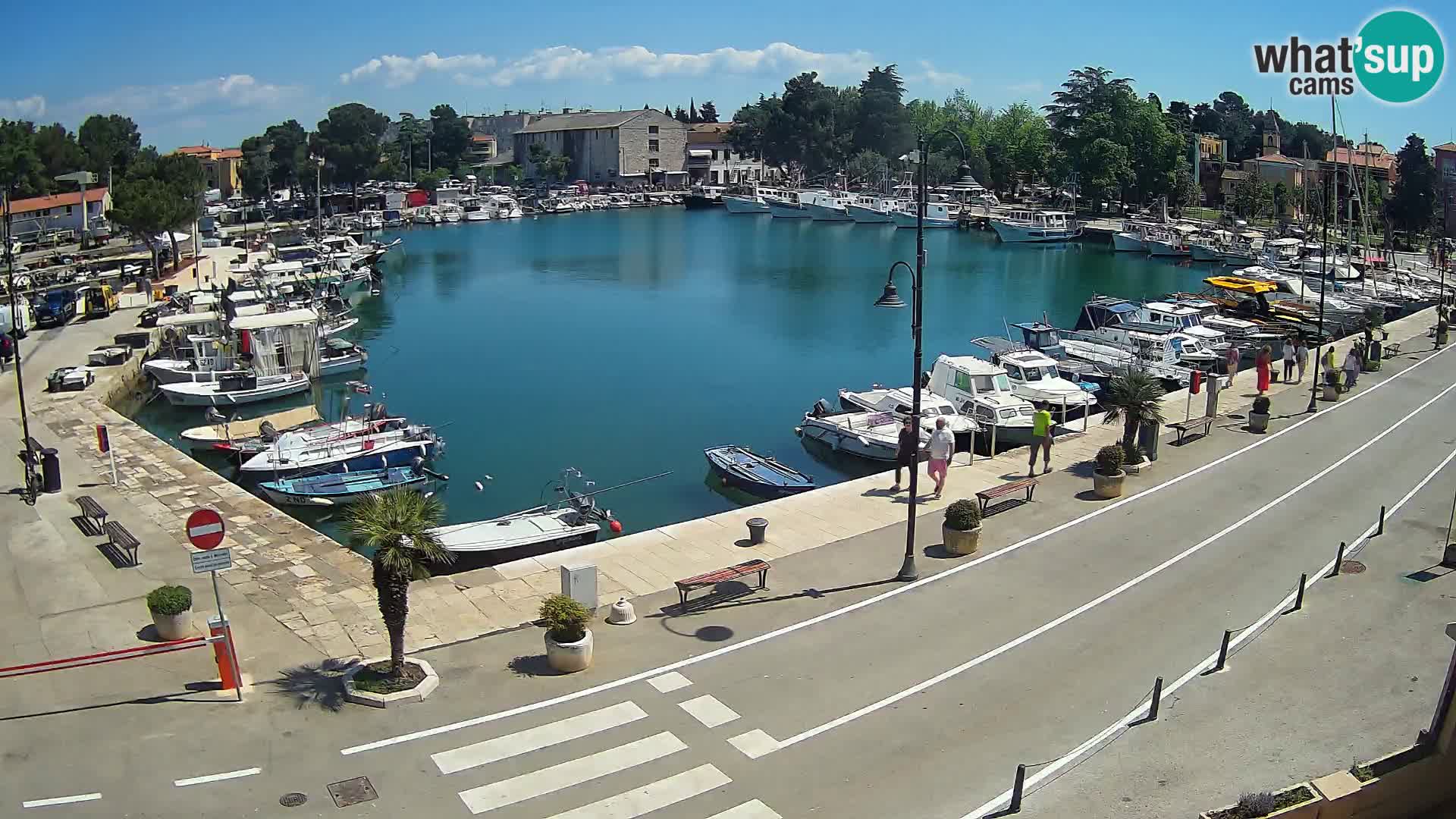Novigrad kamera Mandrač – Istra