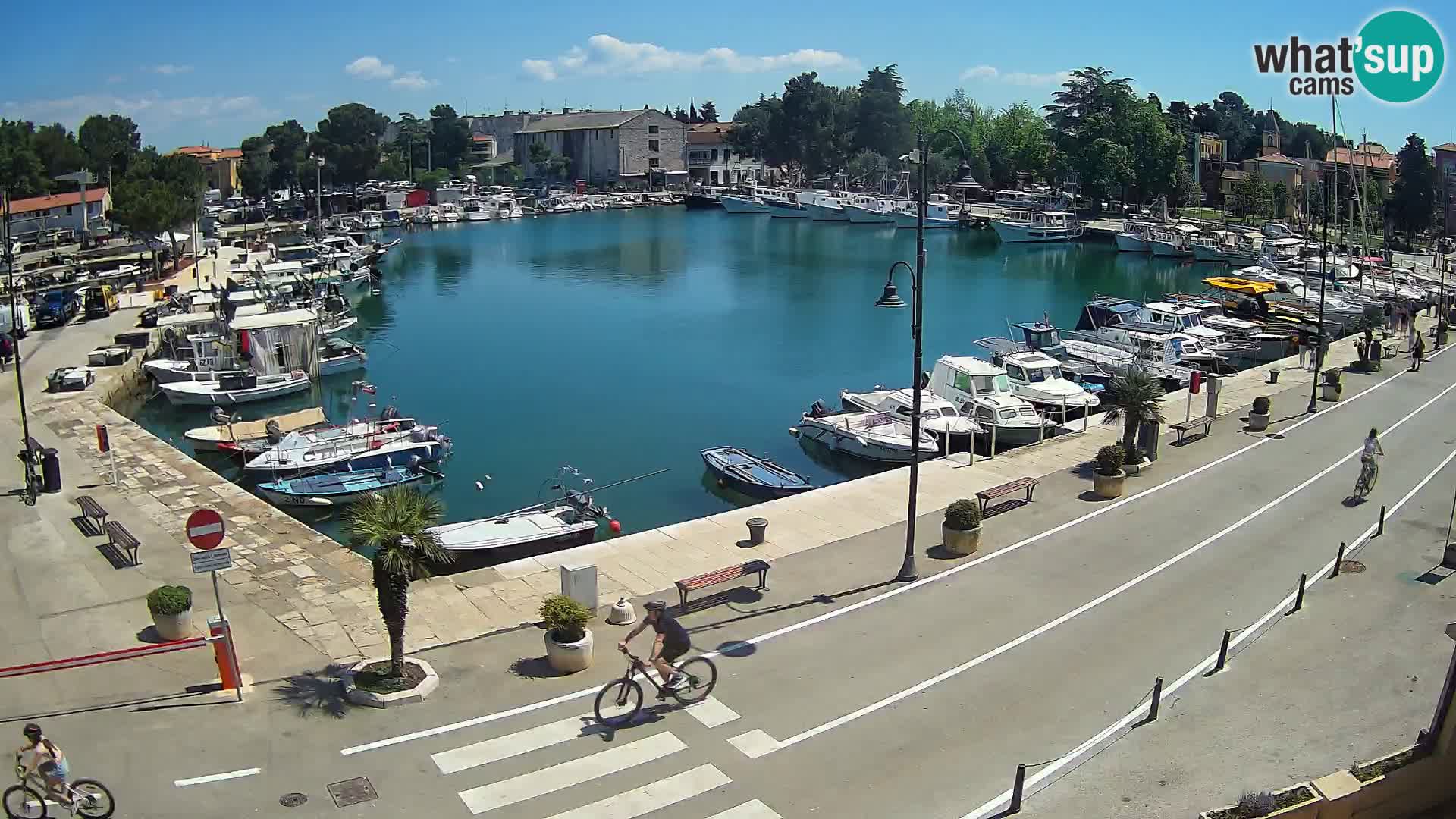 Novigrad kamera Mandrač – Istra