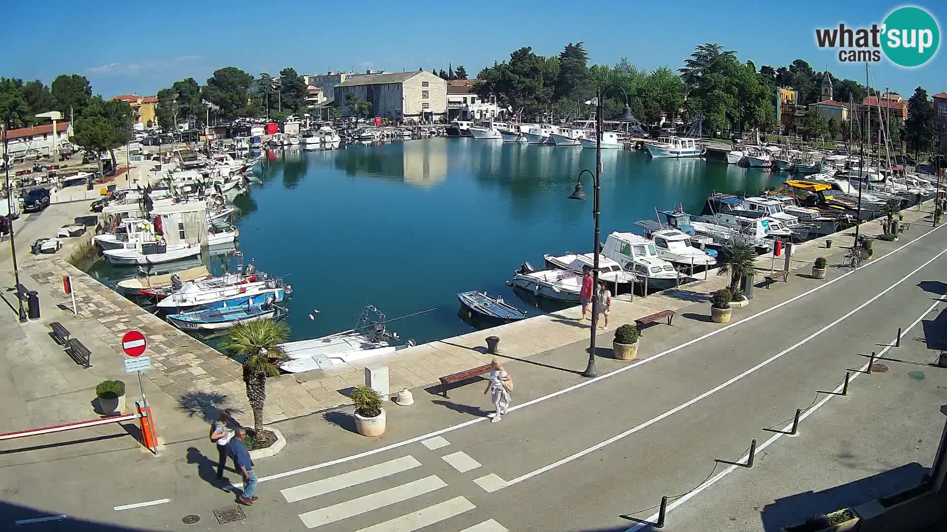 Novigrad webcam Mandrač | Cittanova in Istria – Porto vecchio