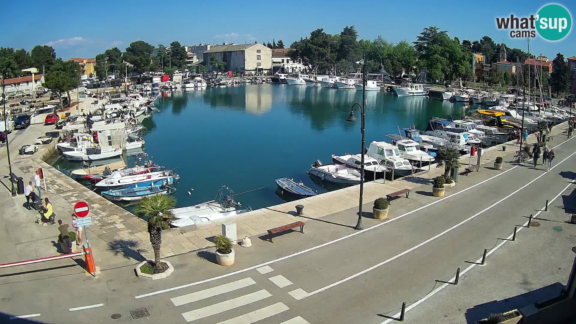 Novigrad kamera Mandrač – Istra