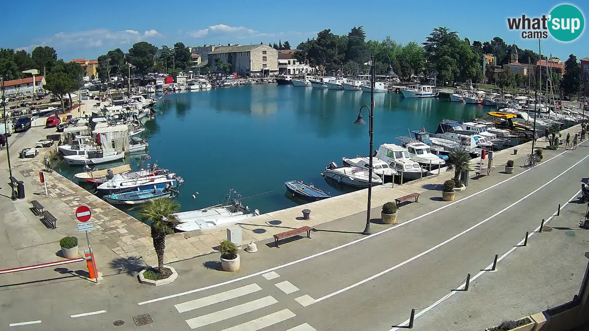 Novigrad webcam Mandrač | alten Hafen – Istrien