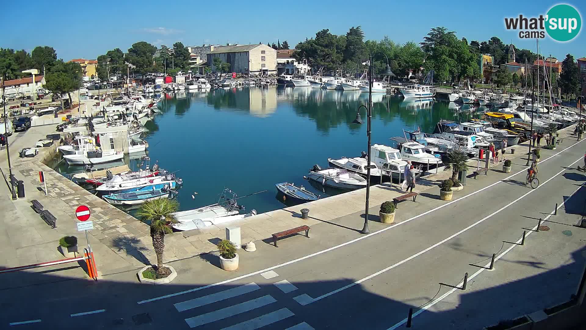 Novigrad webcam Mandrač | Cittanova in Istria – Porto vecchio