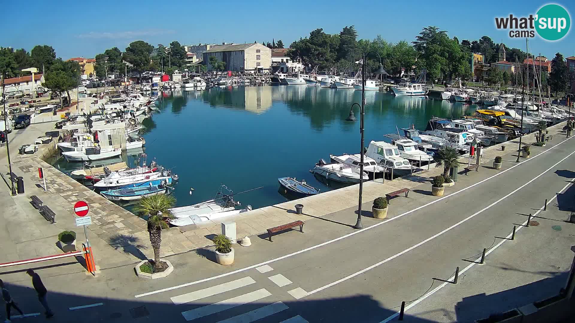 Novigrad webcam Mandrač | alten Hafen – Istrien