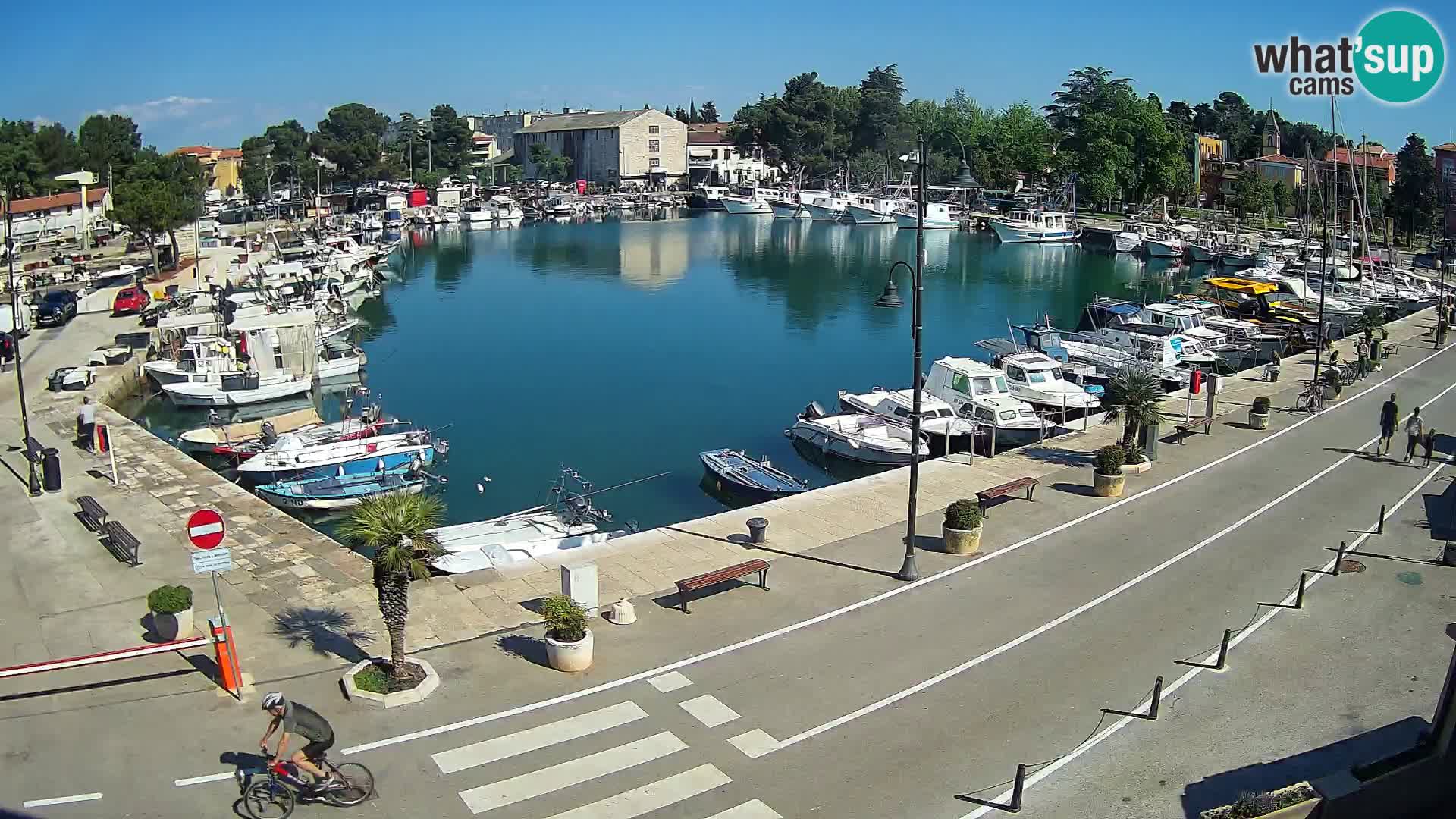 Novigrad webcam Mandrač | Cittanova in Istria – Porto vecchio