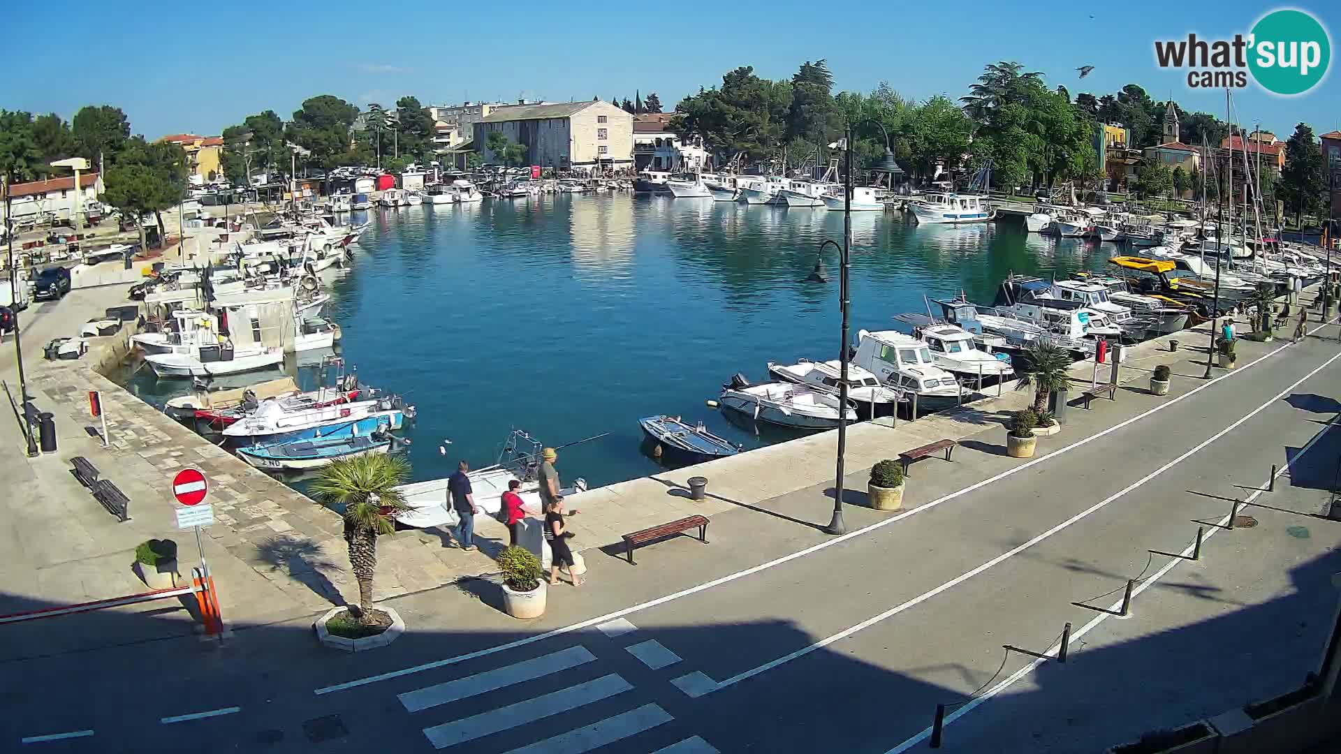 Novigrad webcam Mandrač | Cittanova in Istria – Porto vecchio