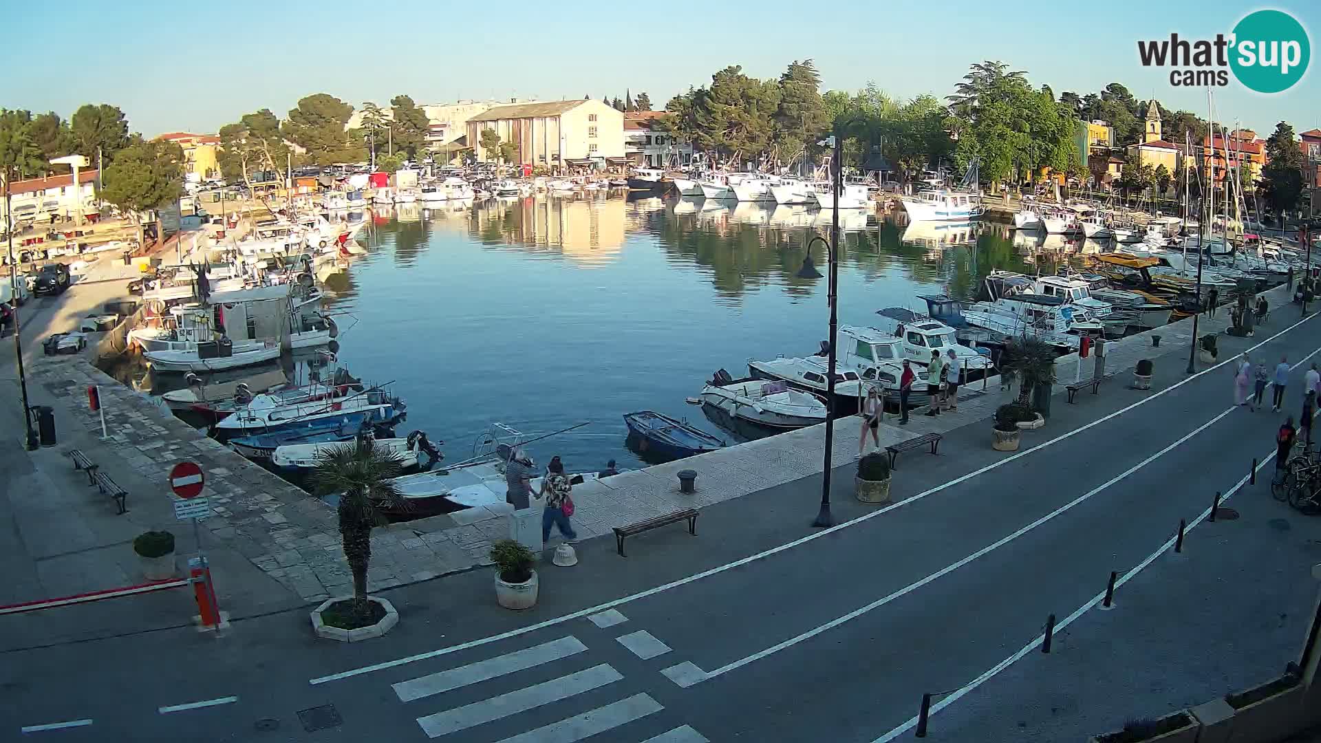Novigrad webcam Mandrač | Cittanova in Istria – Porto vecchio