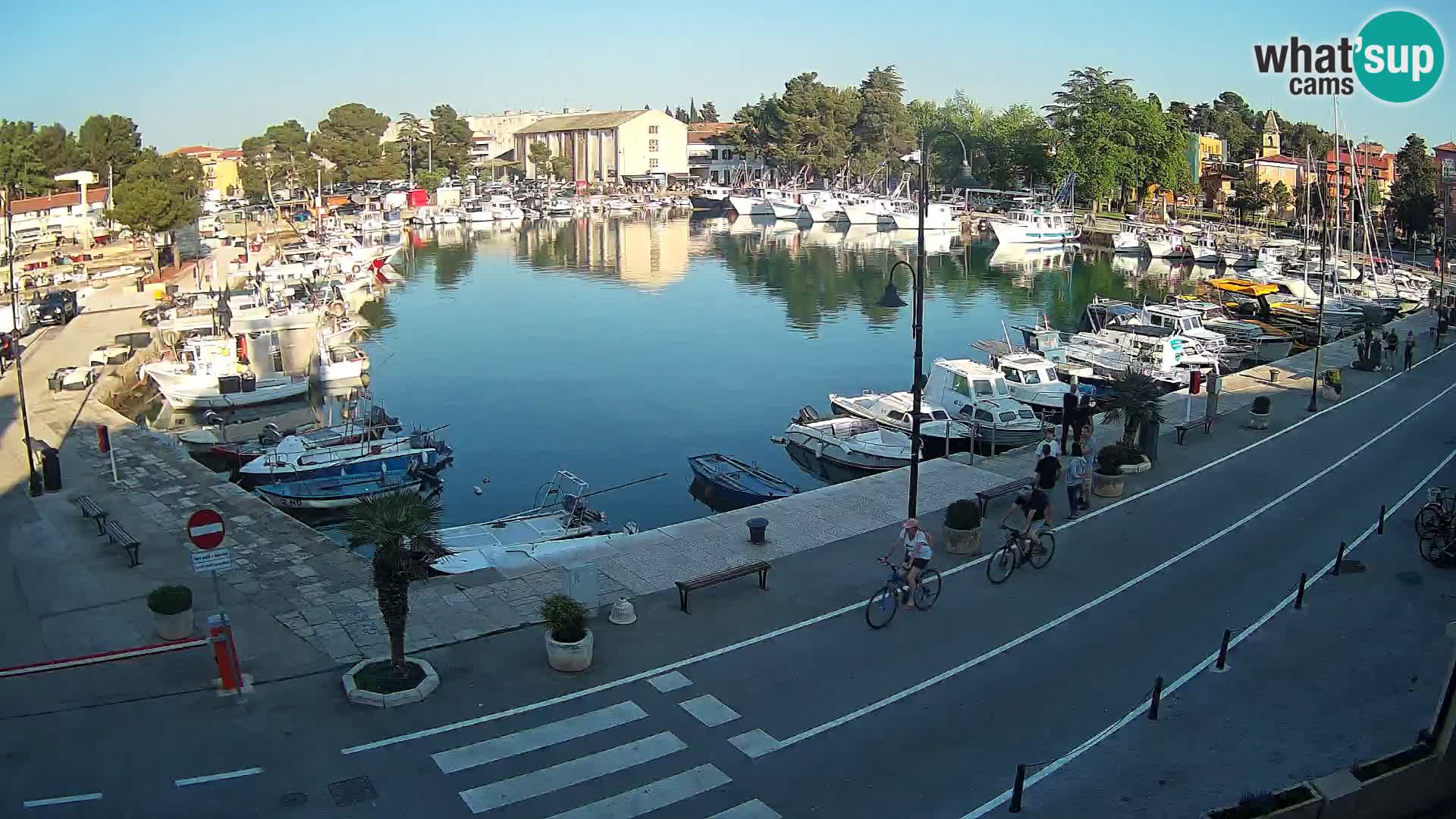 Novigrad webcam Mandrač | Cittanova in Istria – Porto vecchio