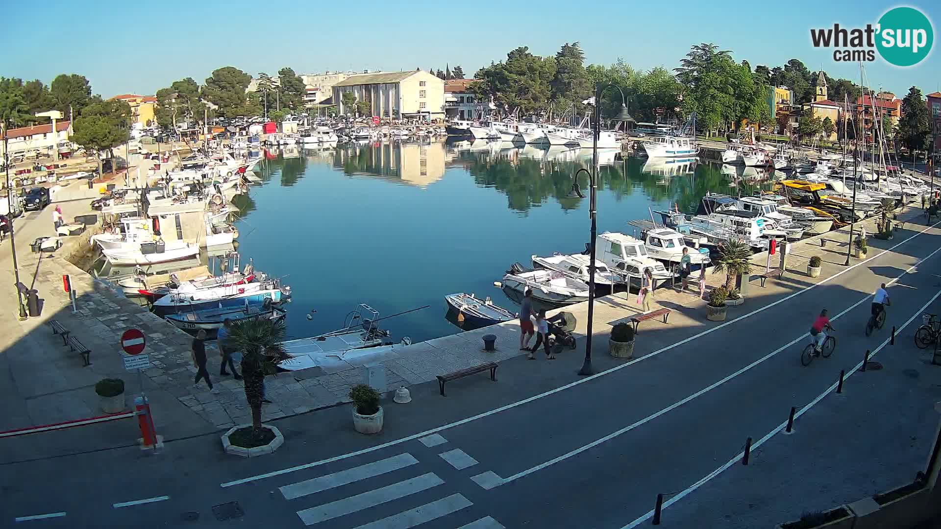 Novigrad kamera Mandrač – Istra