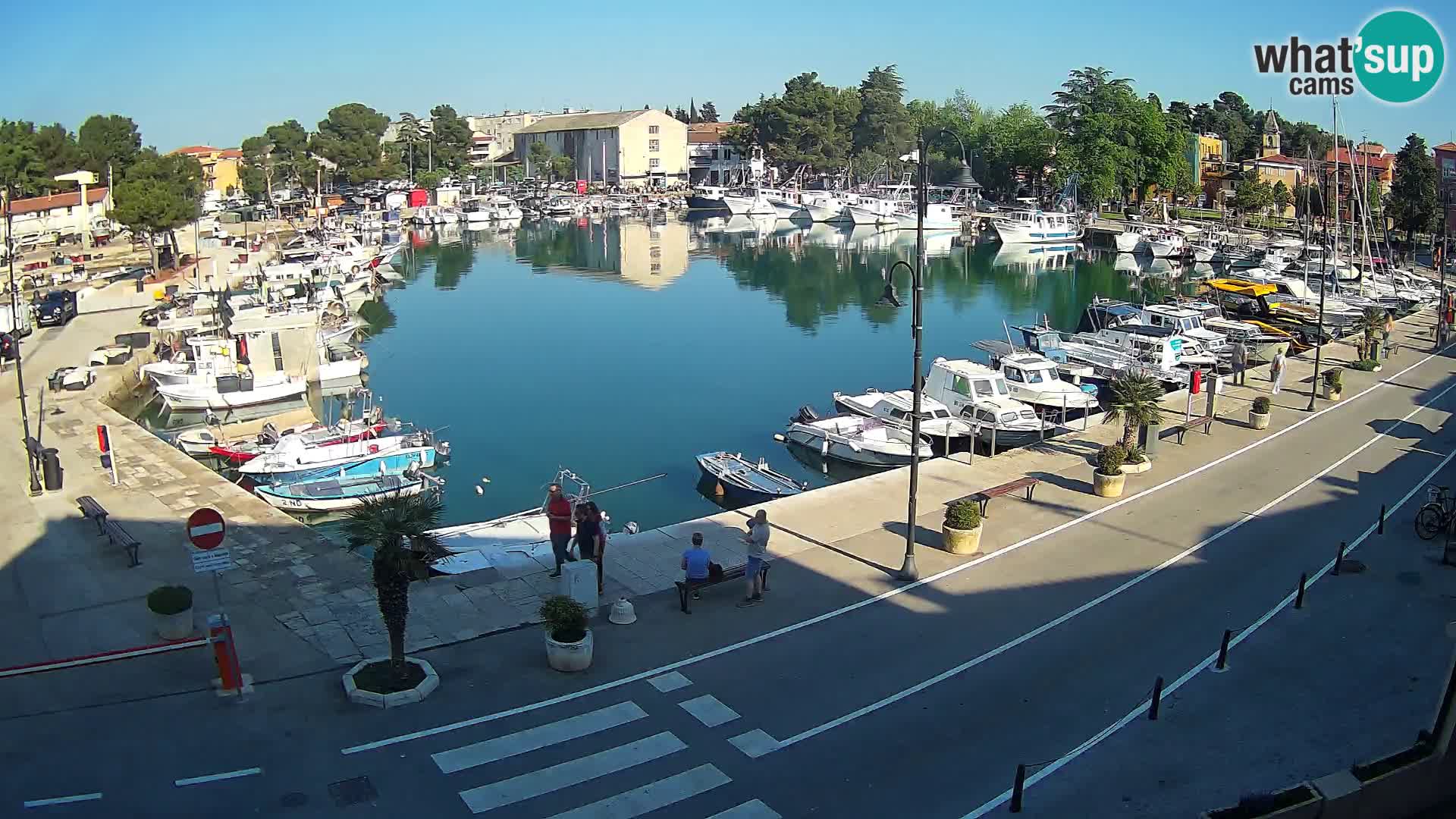 Novigrad webcam Mandrač | Cittanova in Istria – Porto vecchio