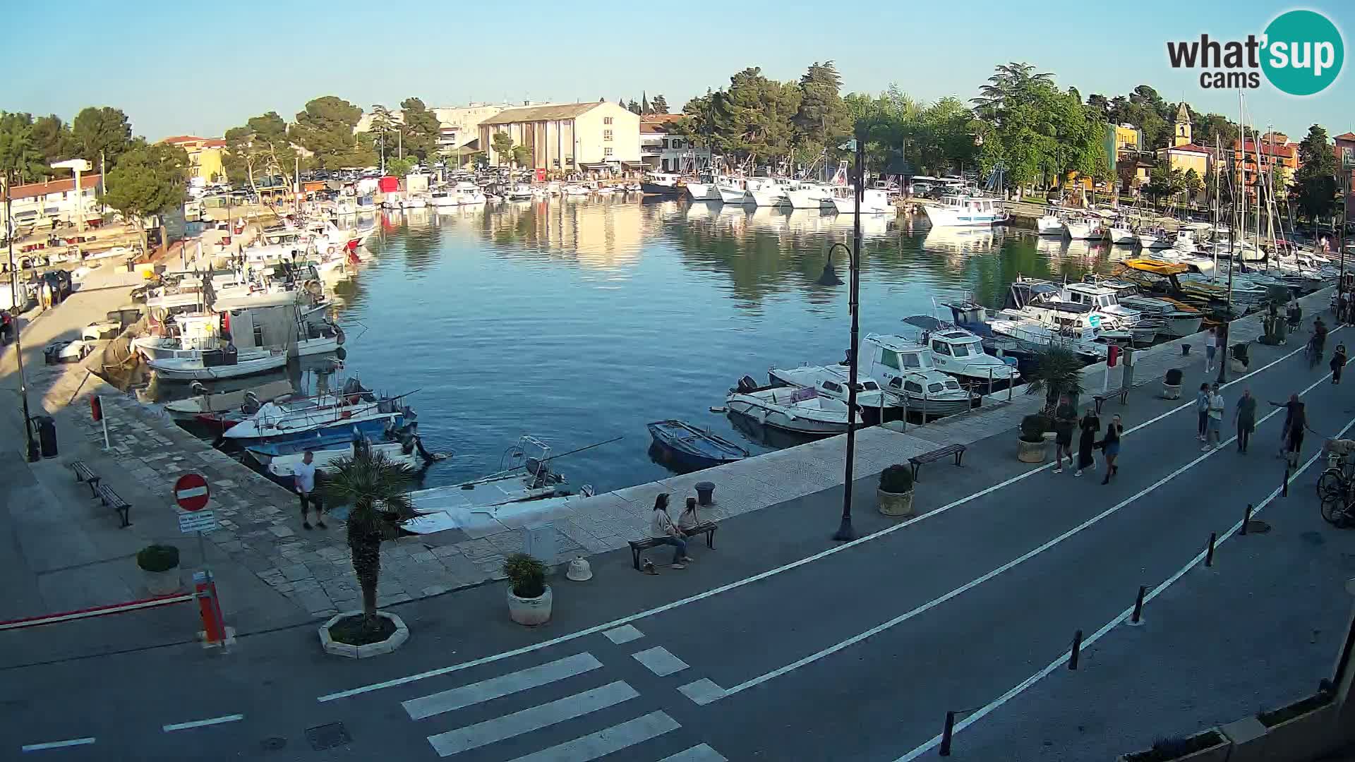 Novigrad kamera Mandrač – Istra