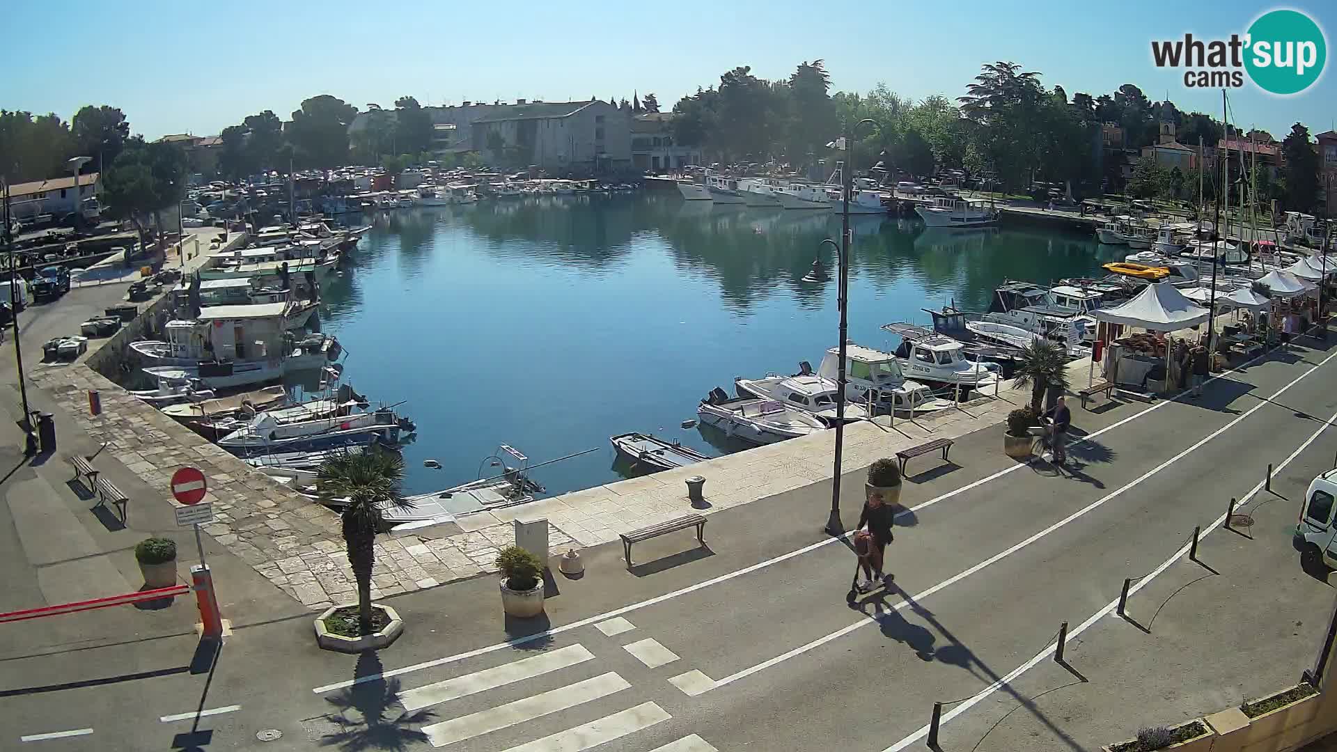 Novigrad webcam Mandrač | Cittanova in Istria – Porto vecchio