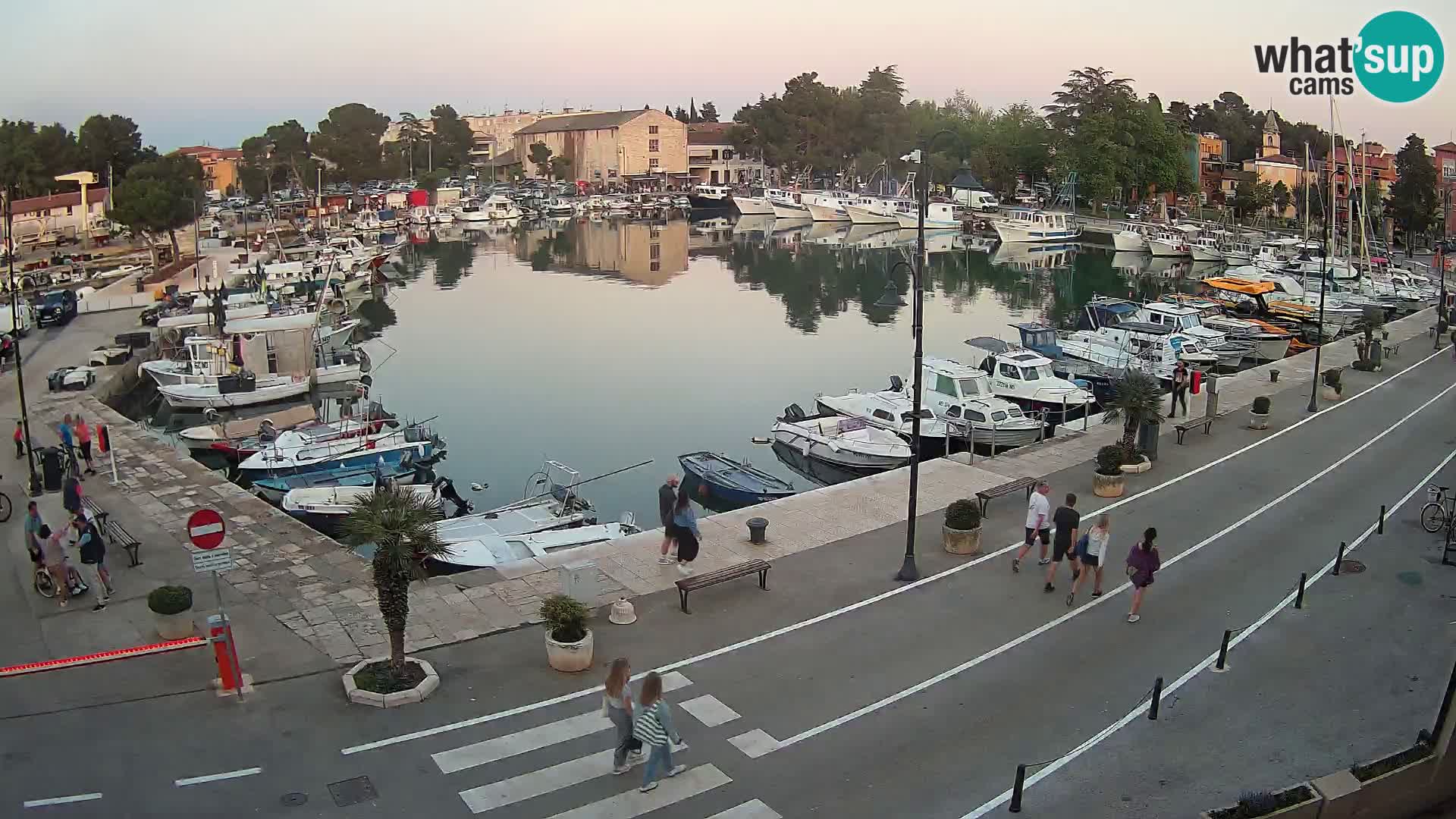 Novigrad kamera Mandrač – Istra