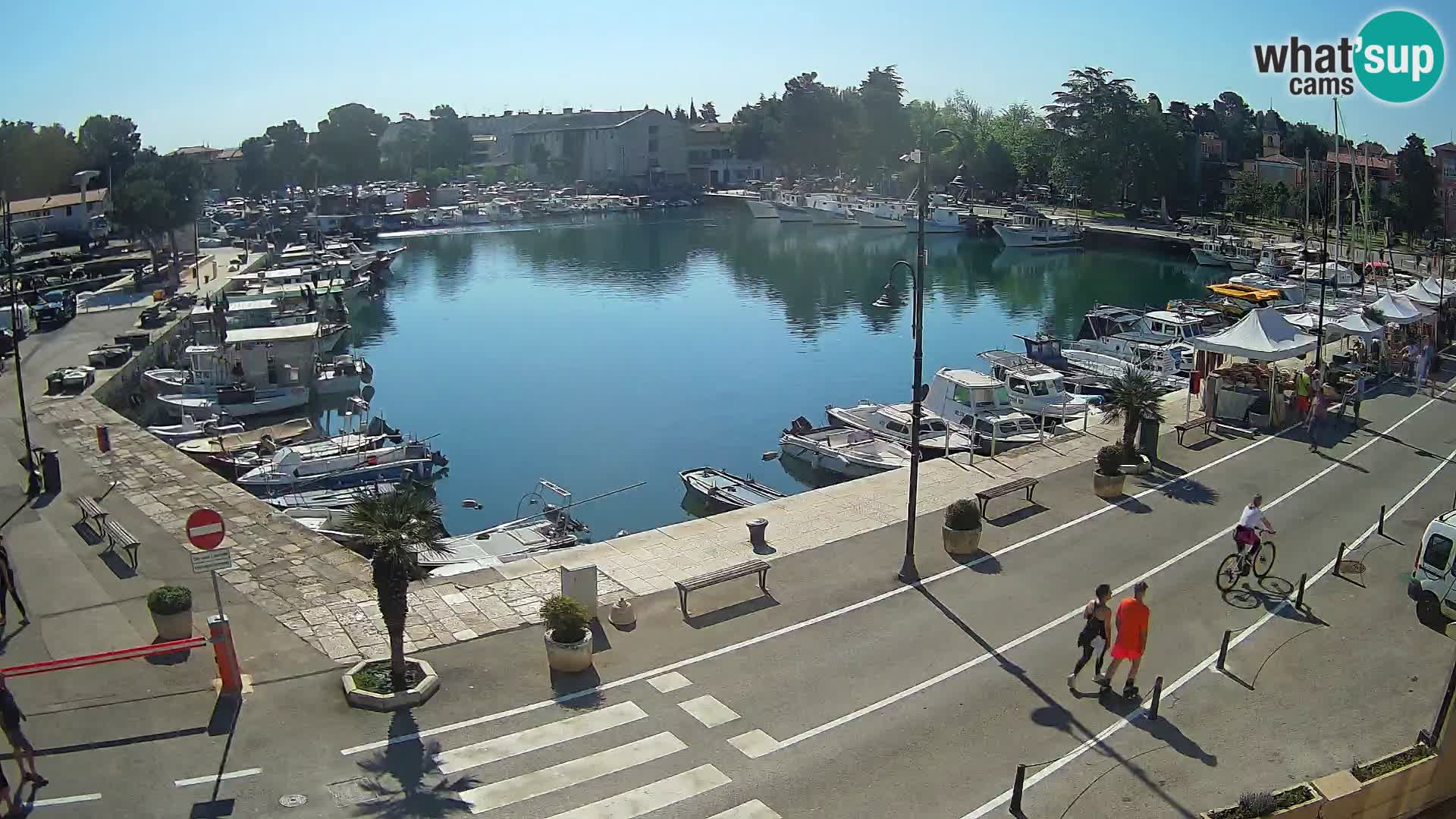 Novigrad kamera Mandrač – Istra