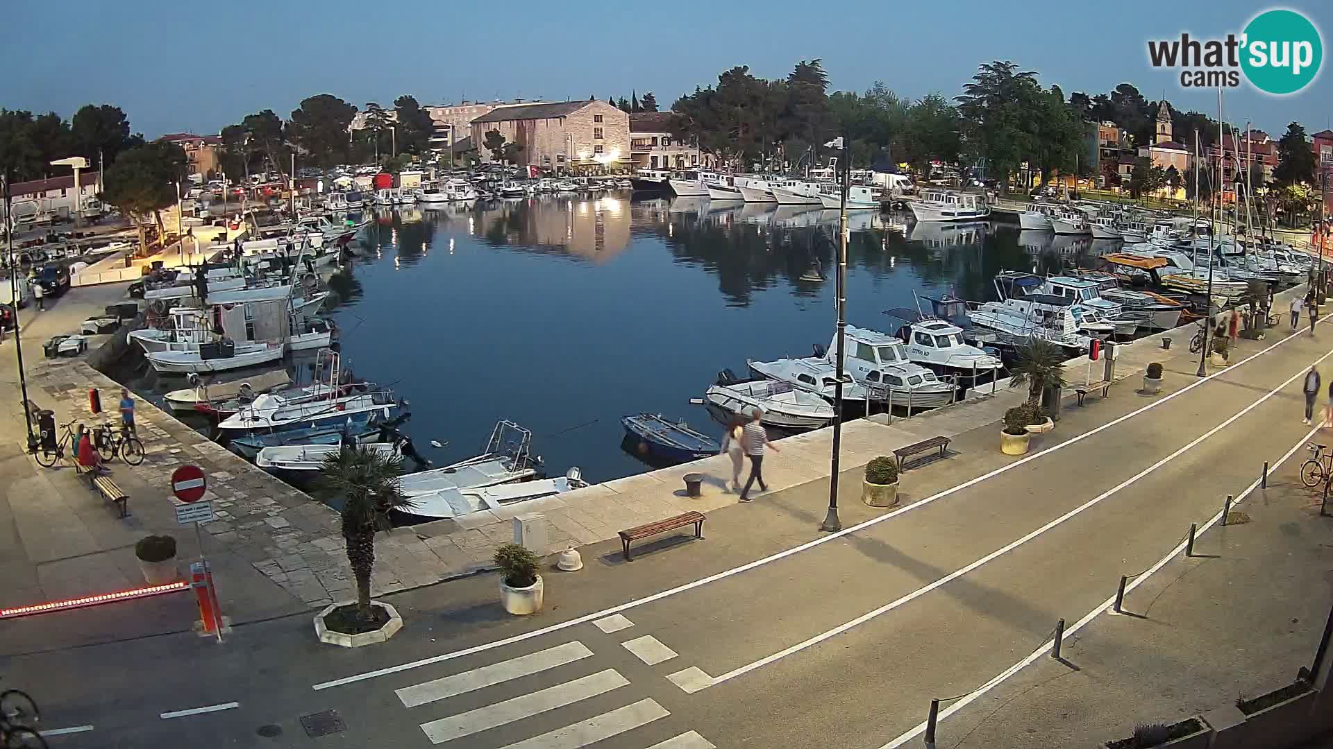 Novigrad –  Mandrač
