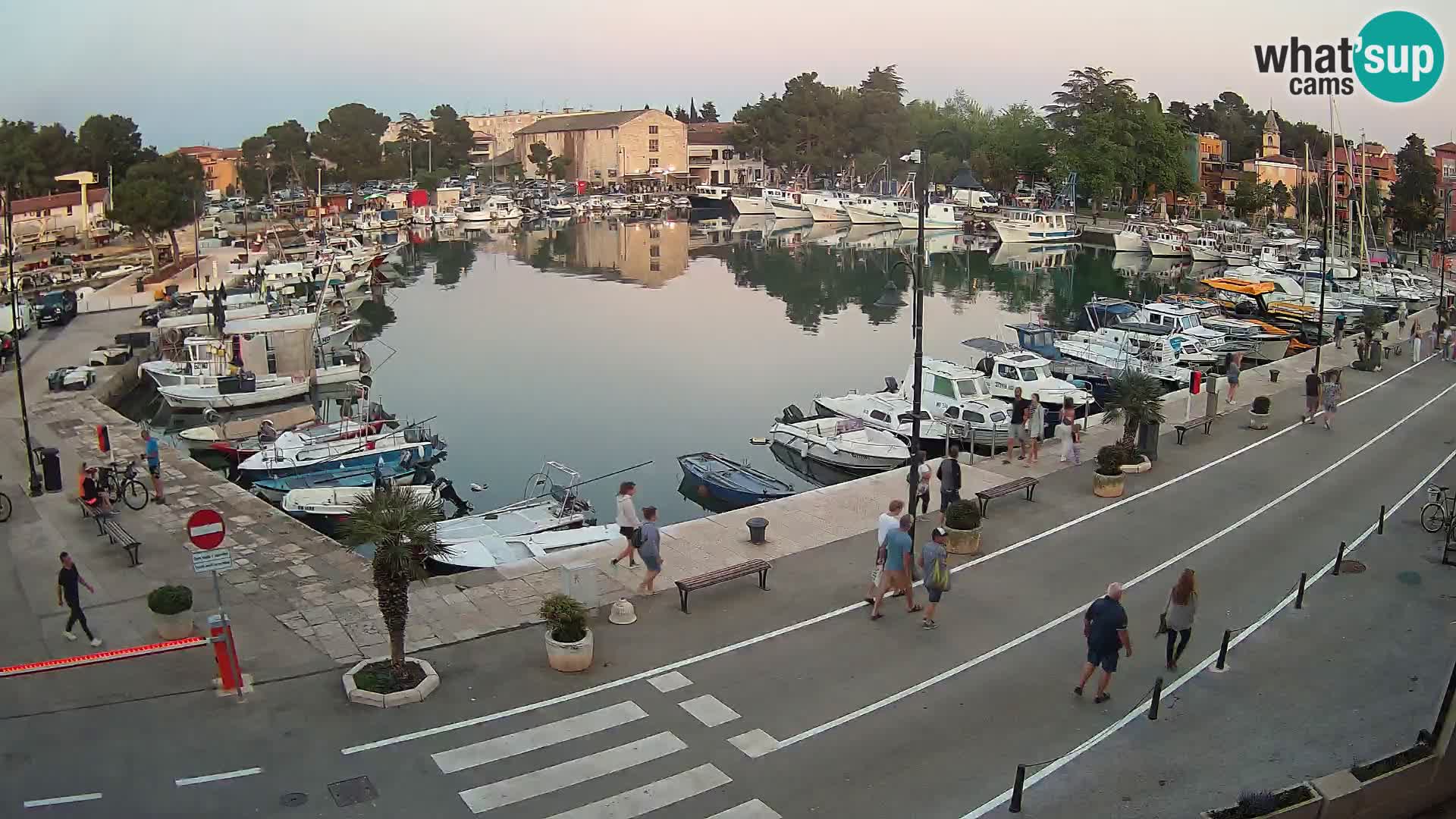Novigrad kamera Mandrač – Istra