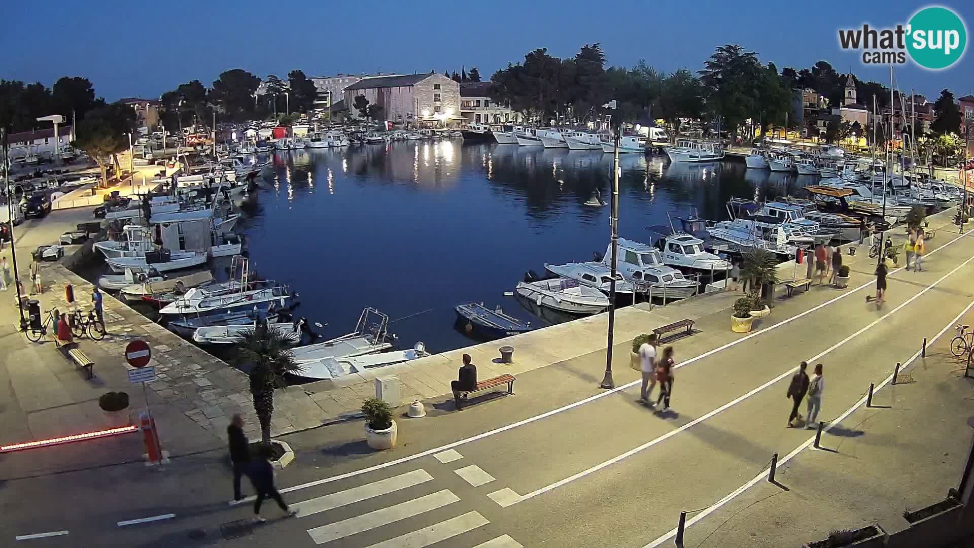 Novigrad – vieux port “Mandrač”
